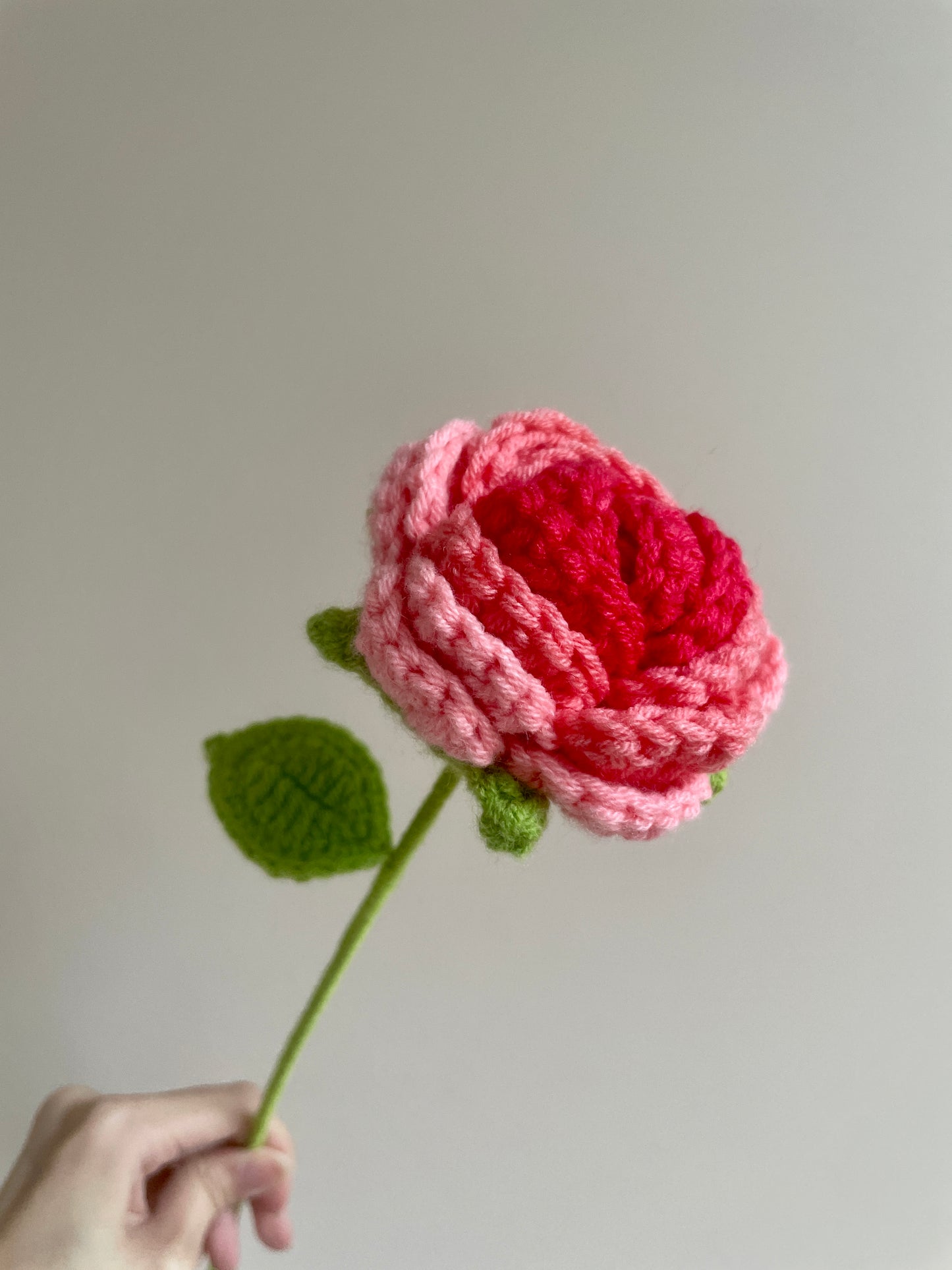 Rounded Roses