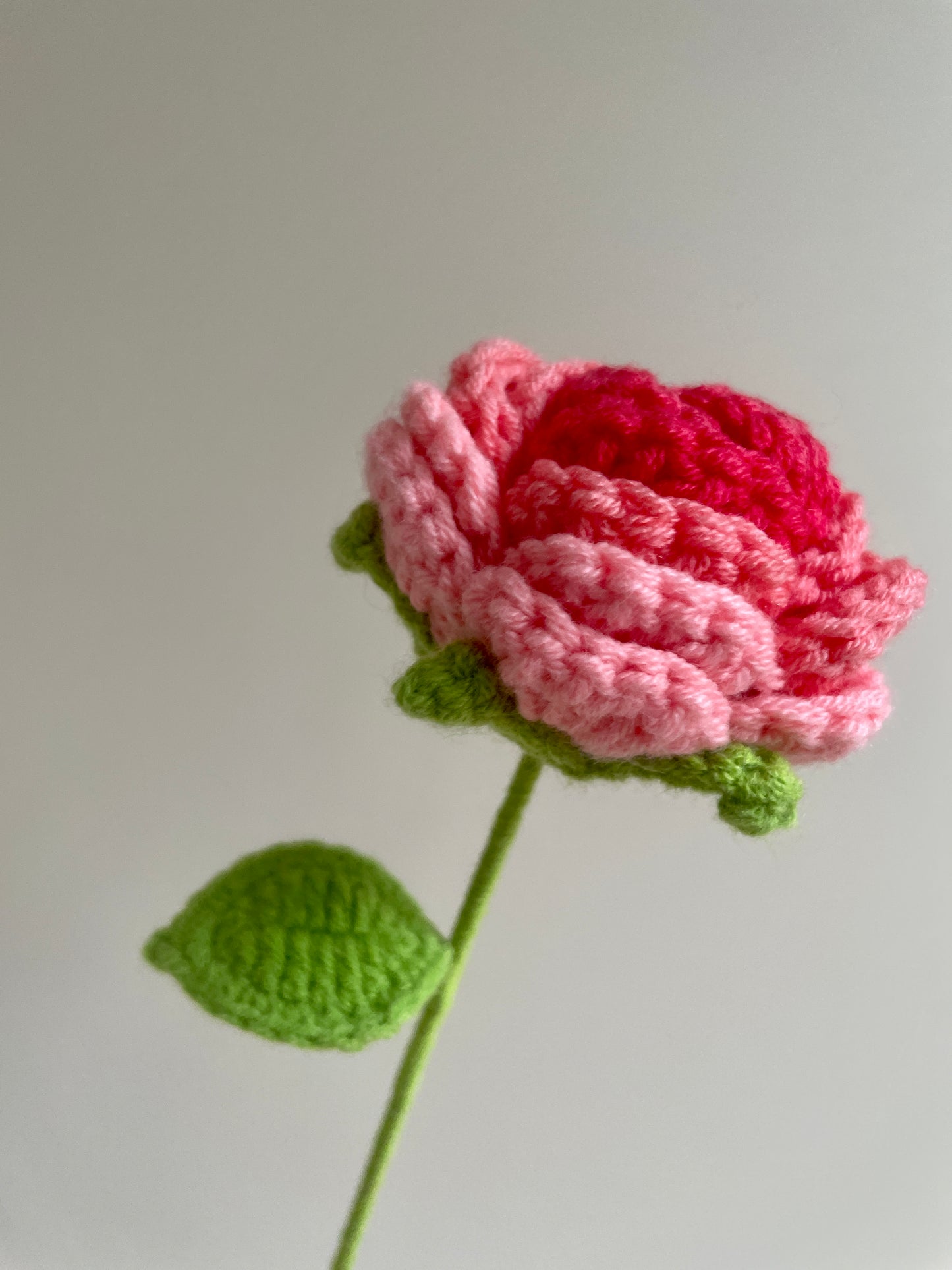 Rounded Roses