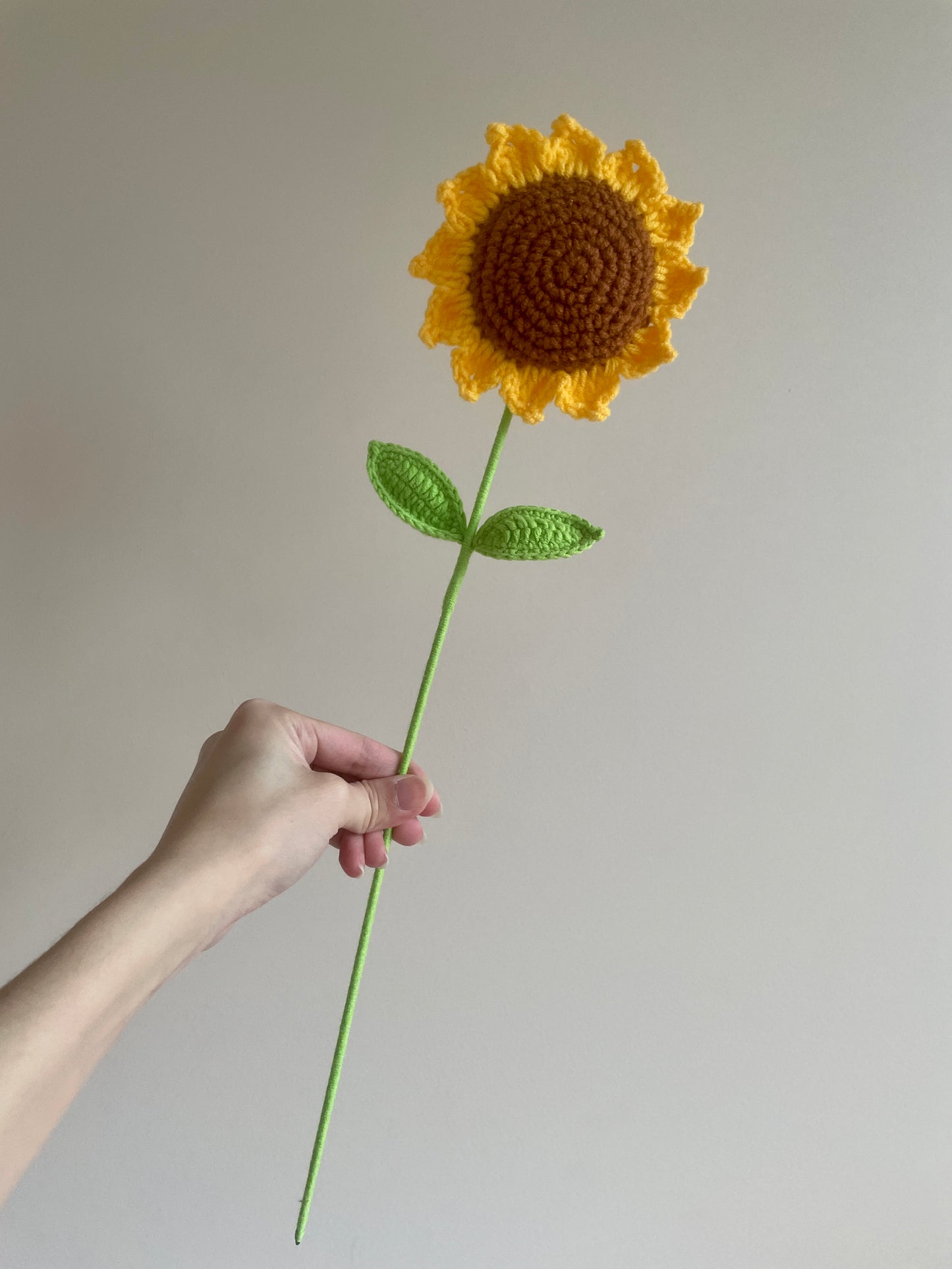 Single-Layer Sunflower