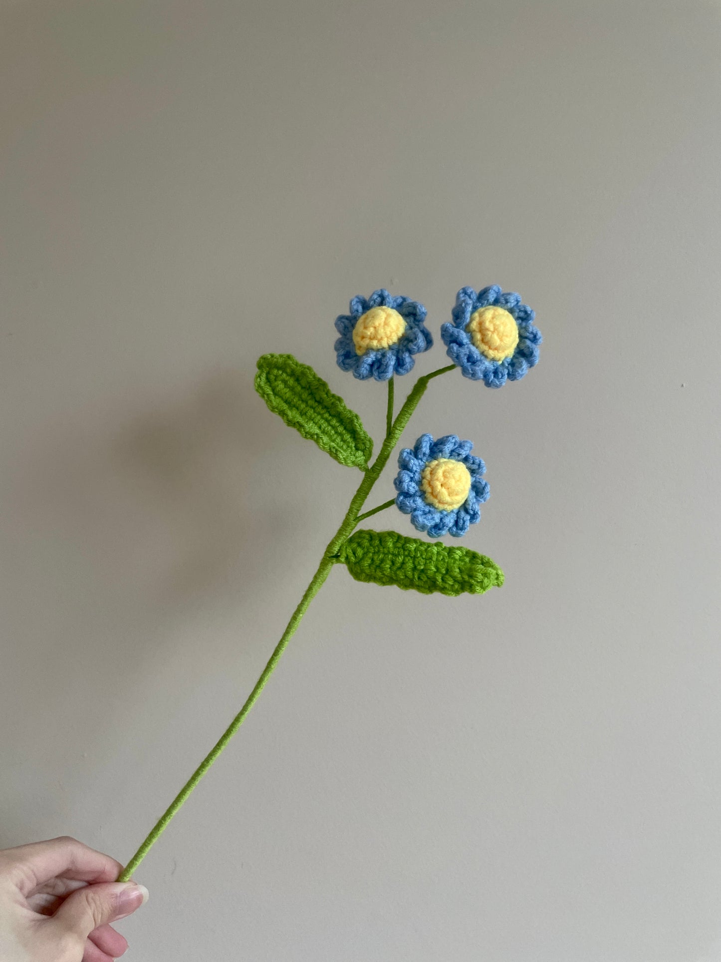 Daisy