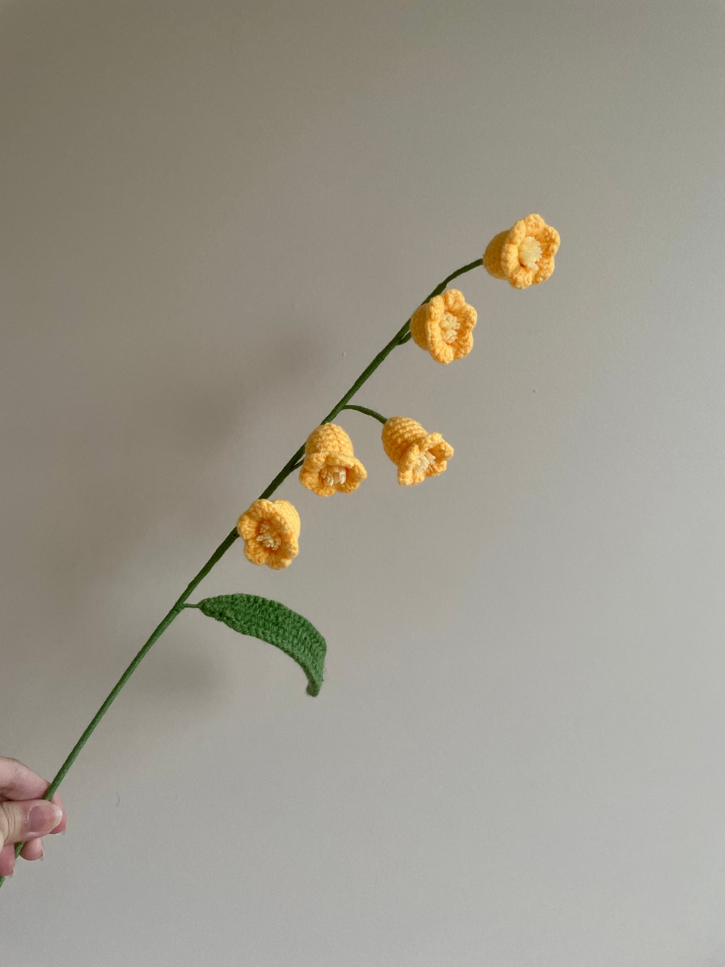 Lilly of the Valley