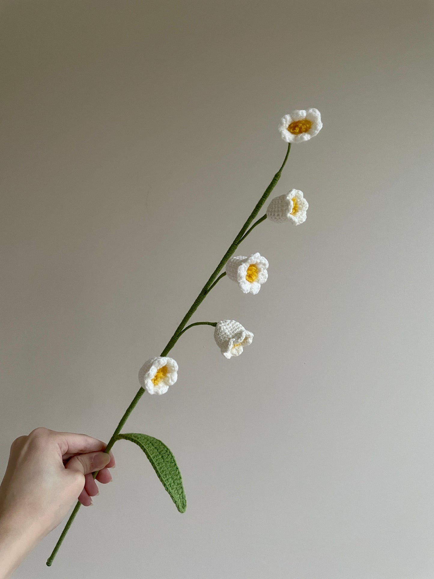 Lilly of the Valley