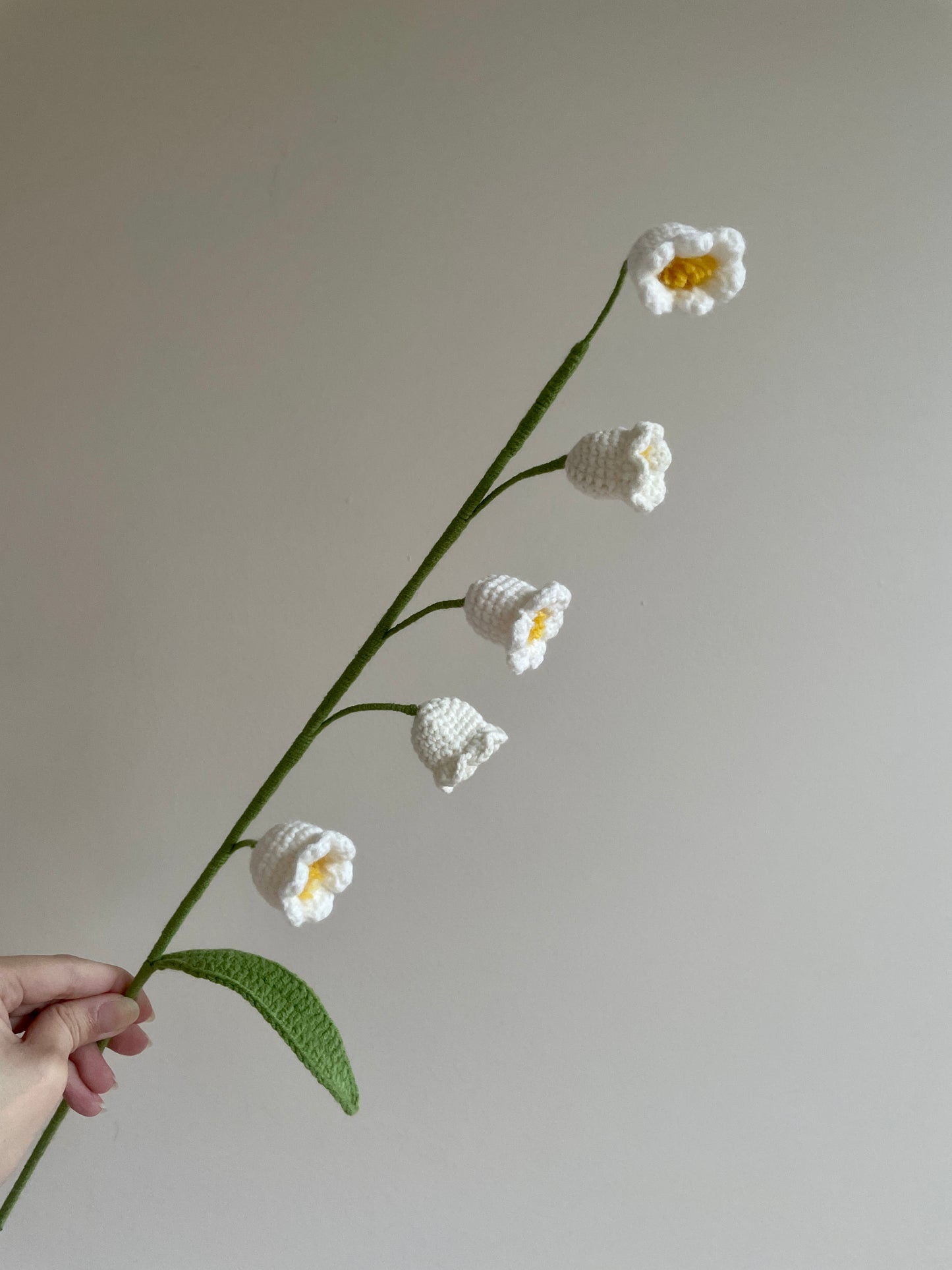 Lilly of the Valley