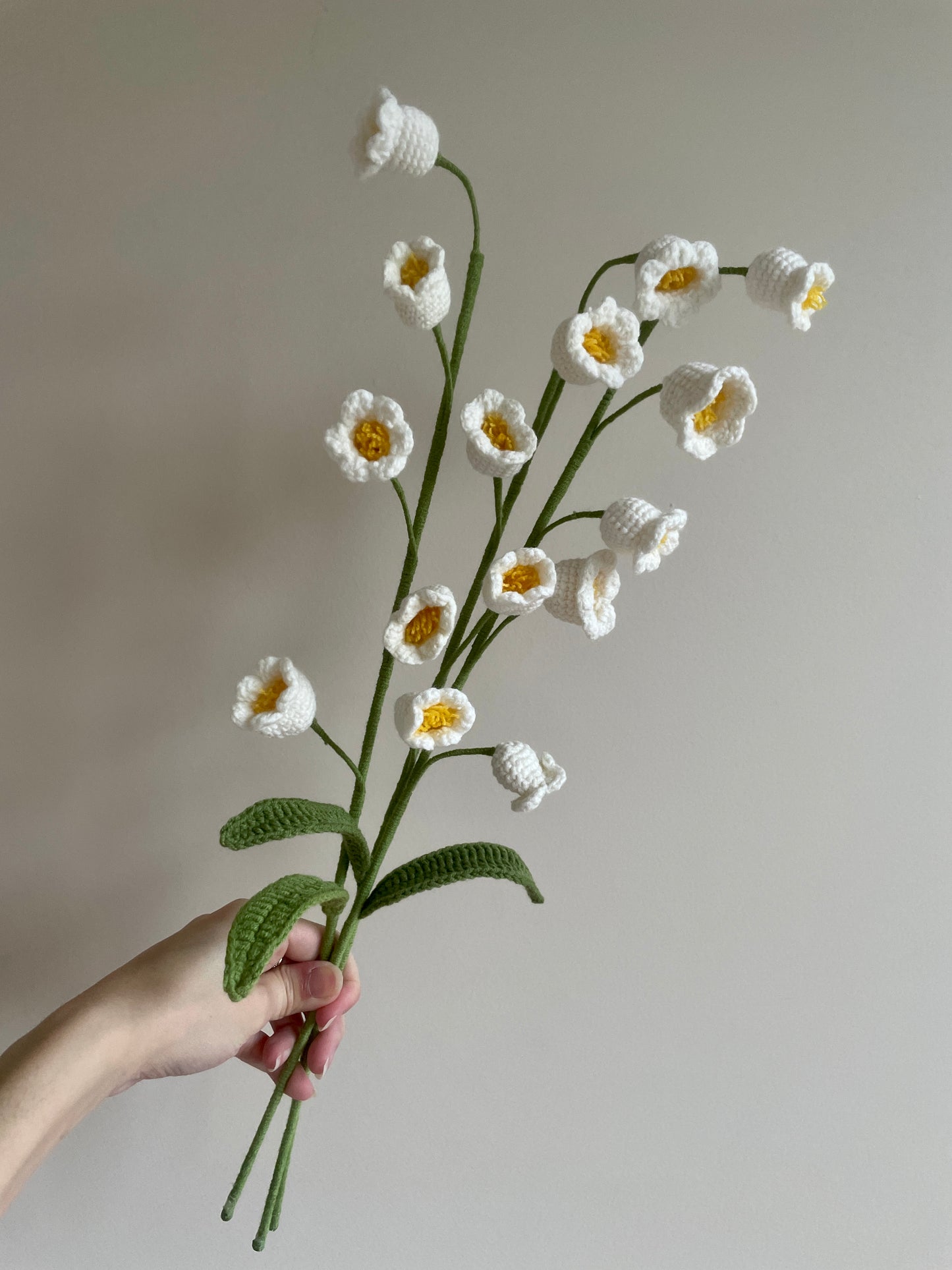 Lilly of the Valley