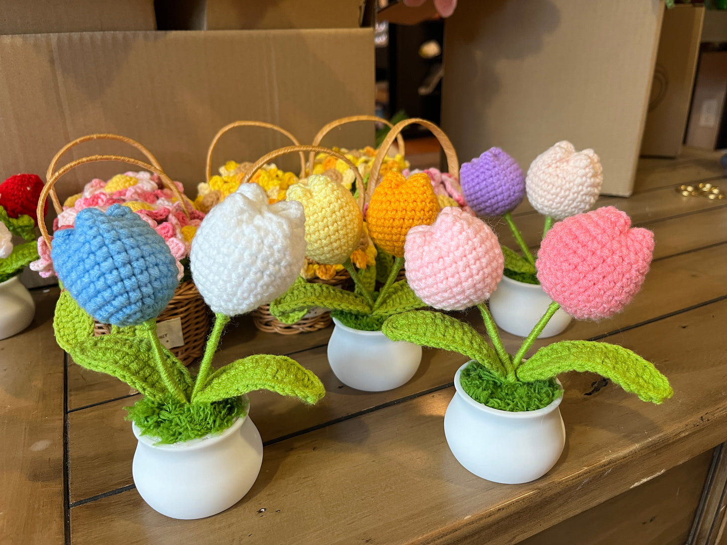 Tulips Pot