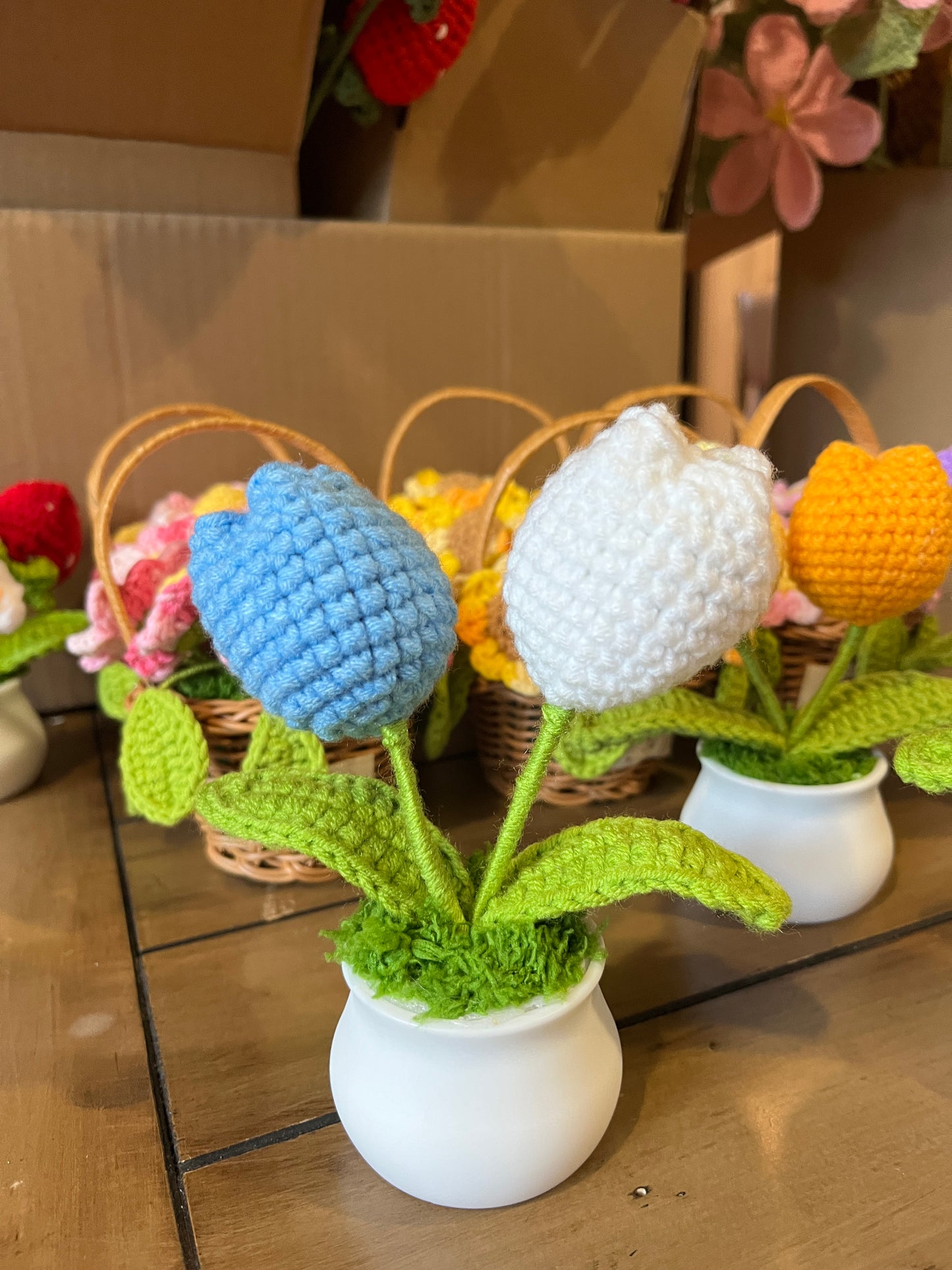 Tulips Pot