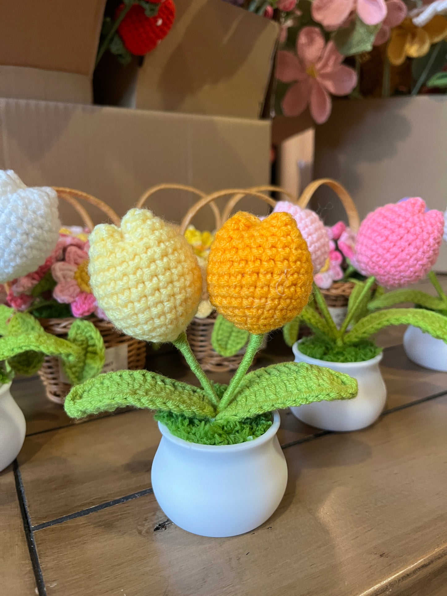 Tulips Pot