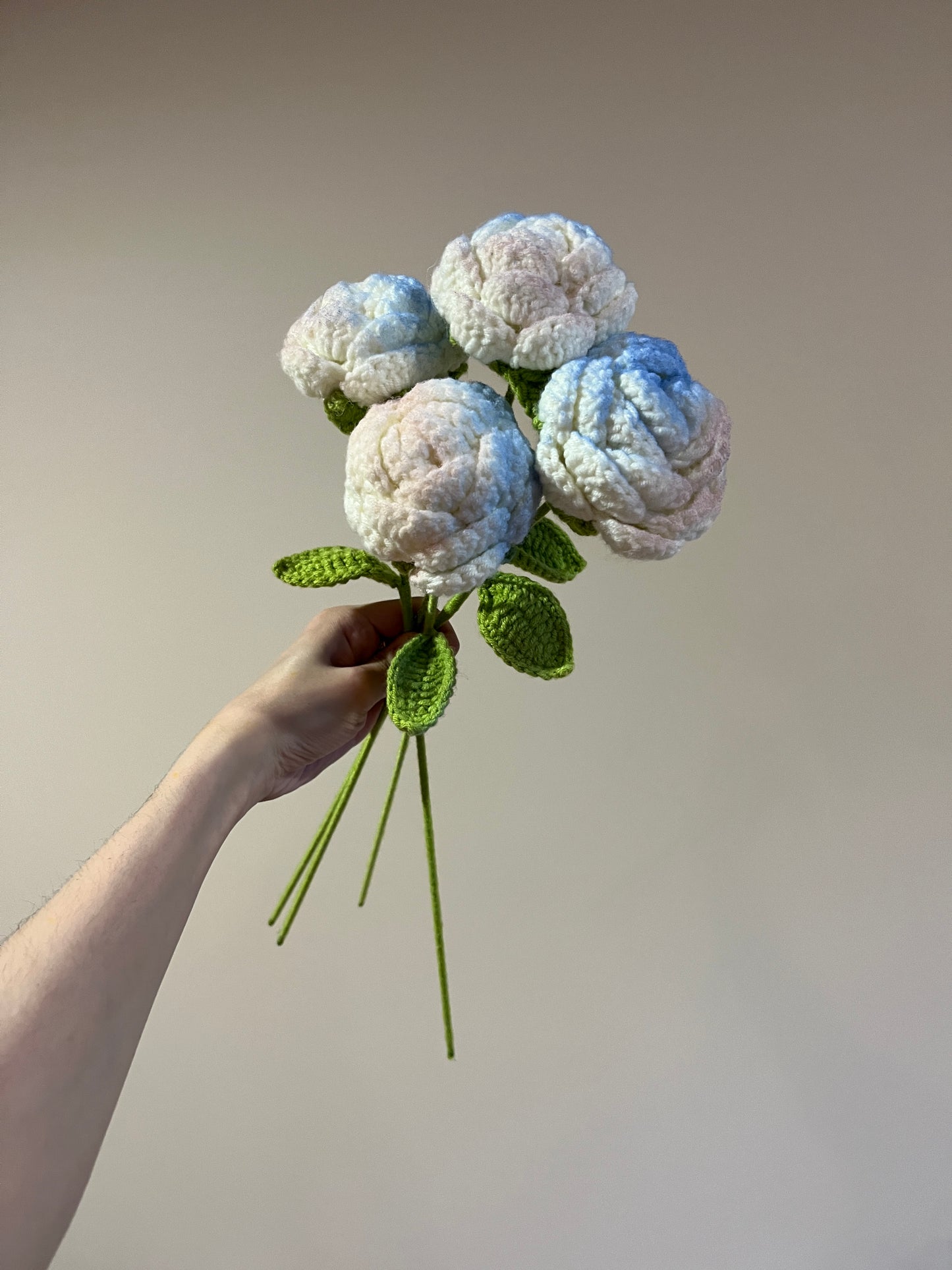 Unicorn Roses