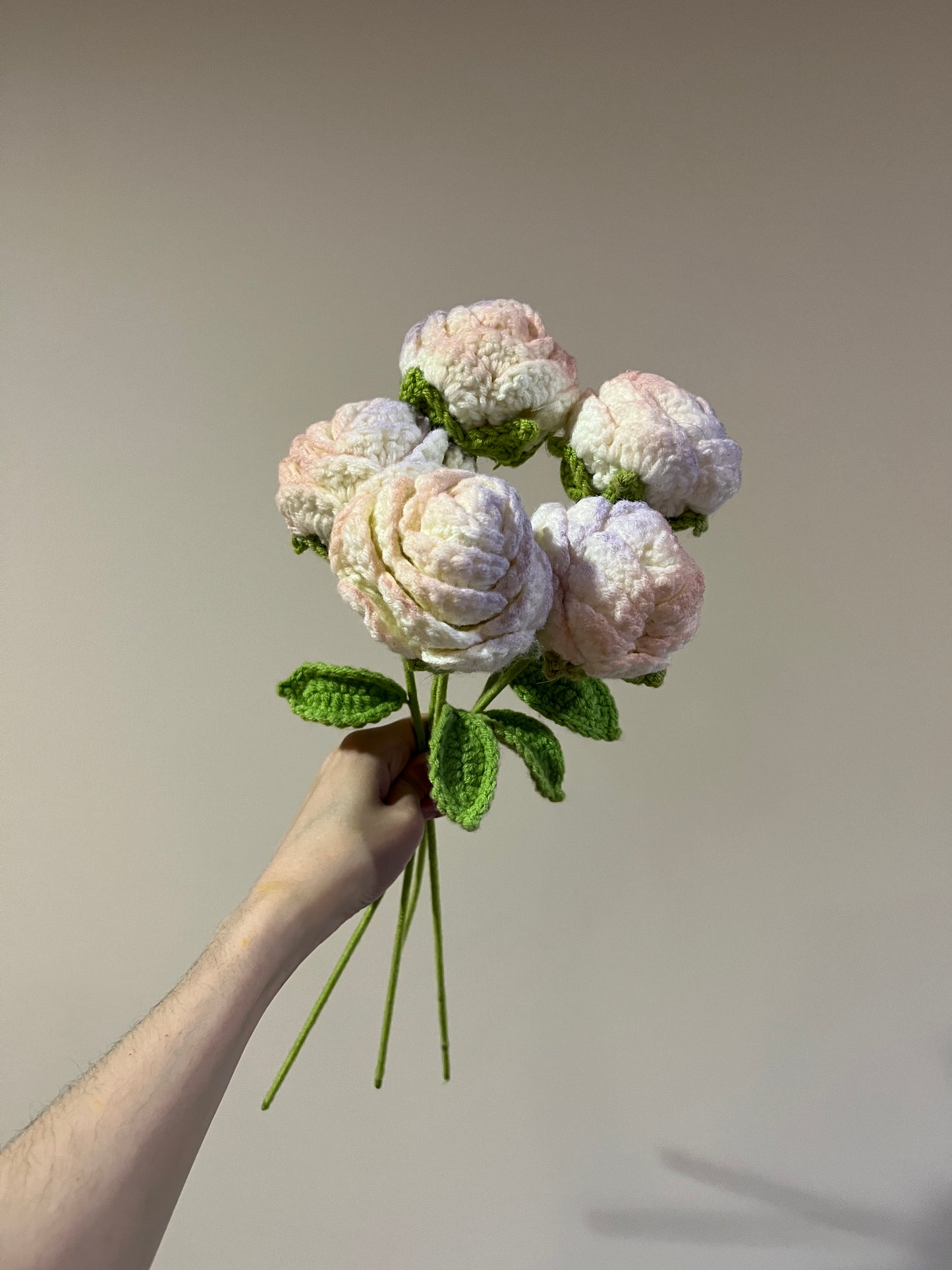 Unicorn Roses