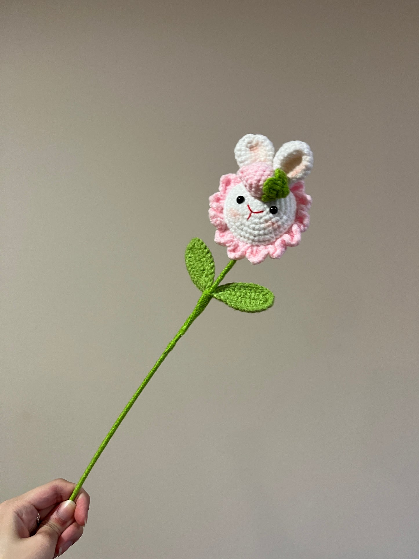 Pink Rabbit Sunflower