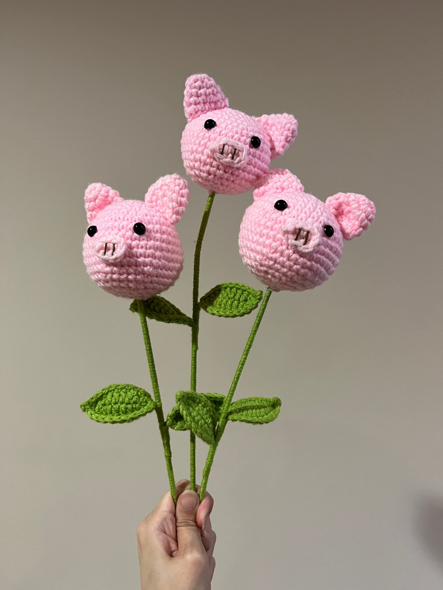 Pink Piggy
