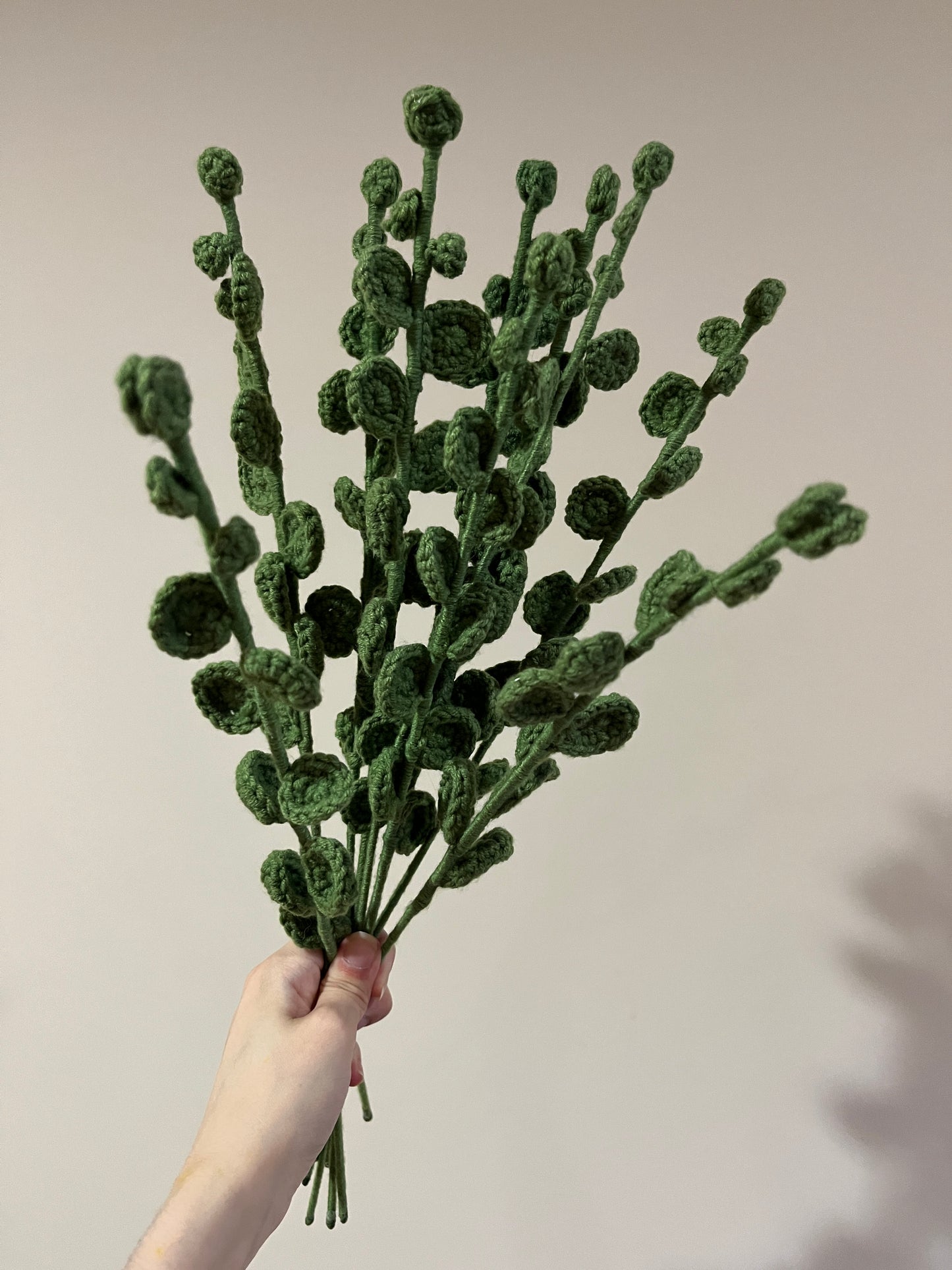 Eucalyptus