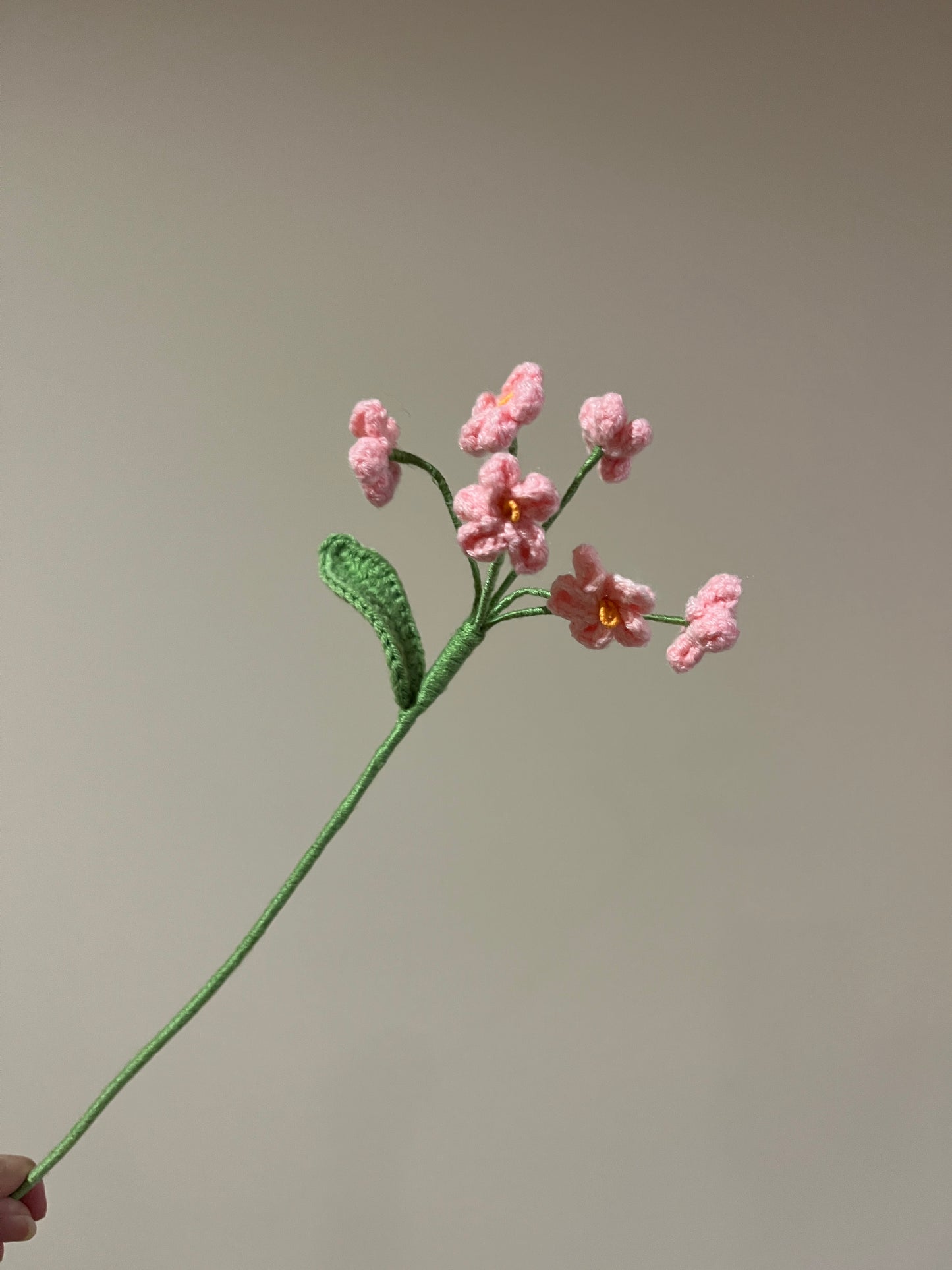 Forget Me Not - Type B