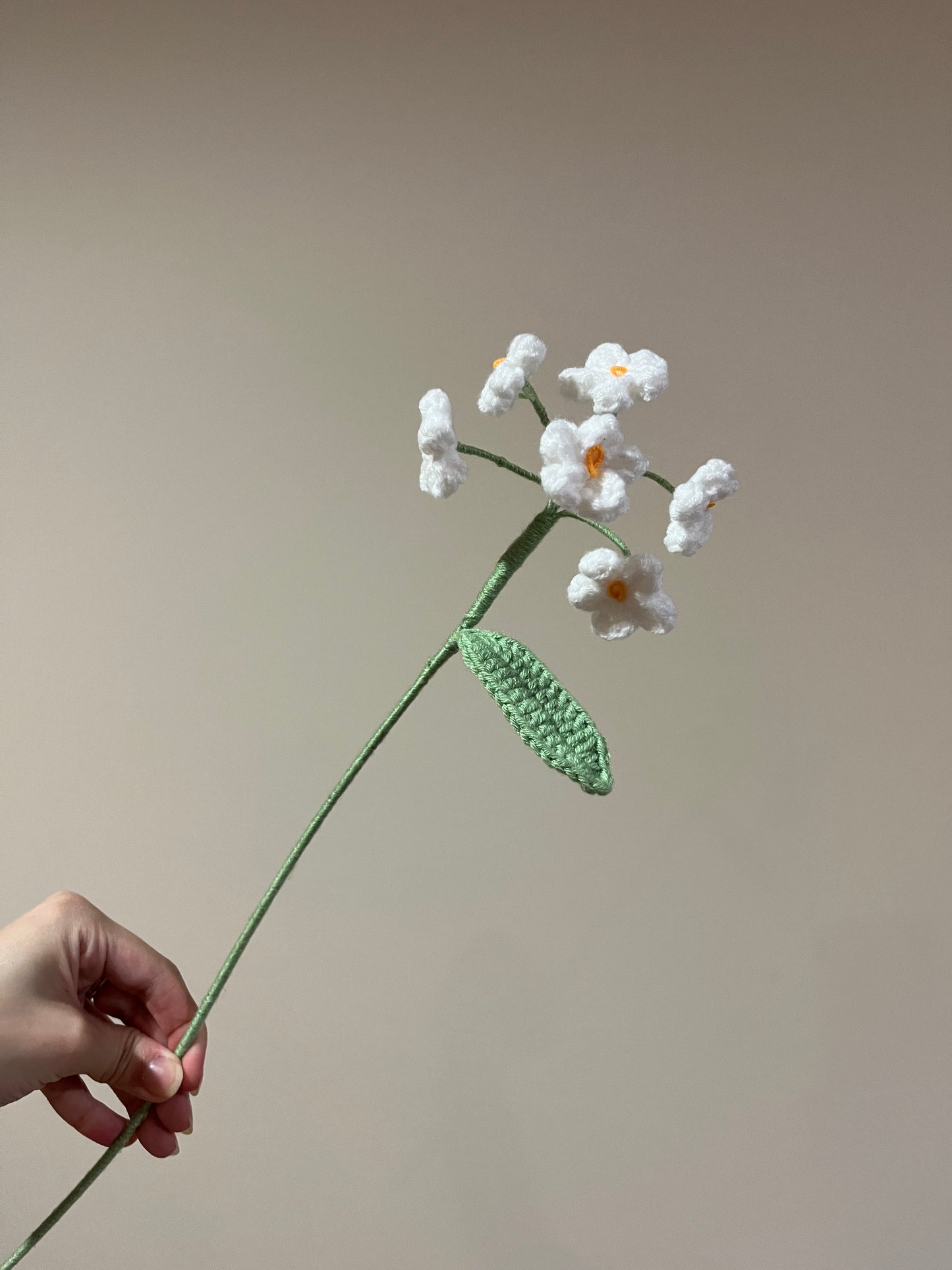 Forget Me Not - Type B