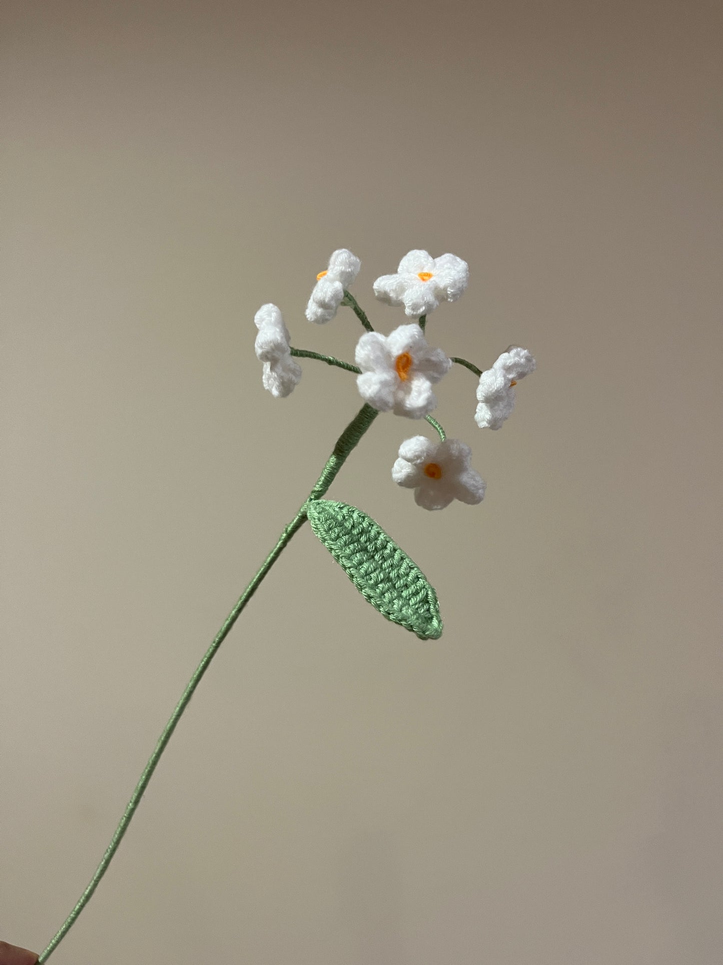 Forget Me Not - Type B