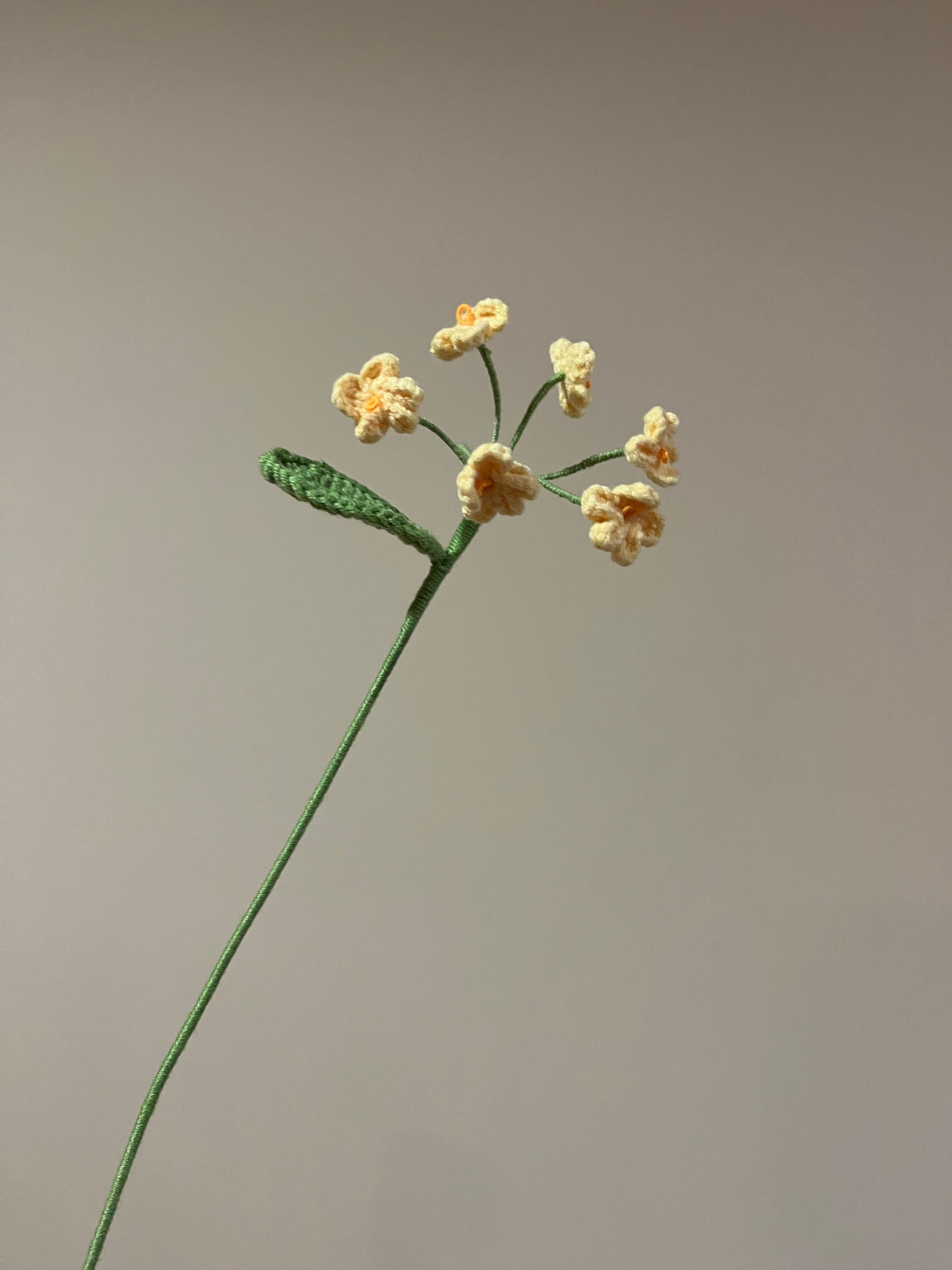 Forget Me Not - Type B