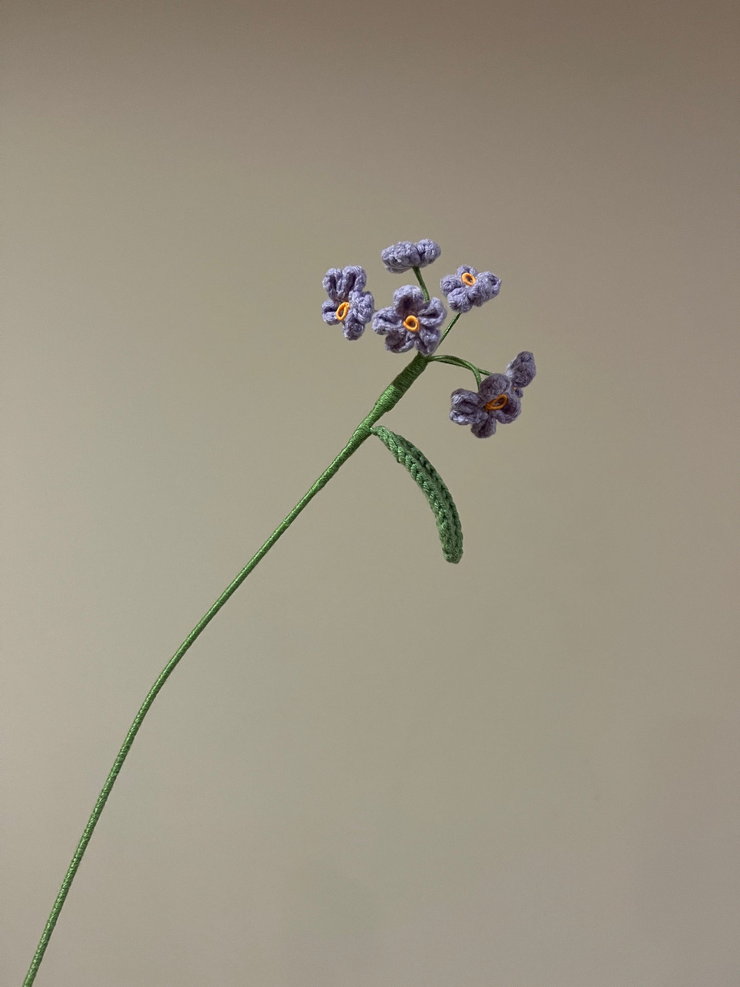 Forget Me Not - Type B