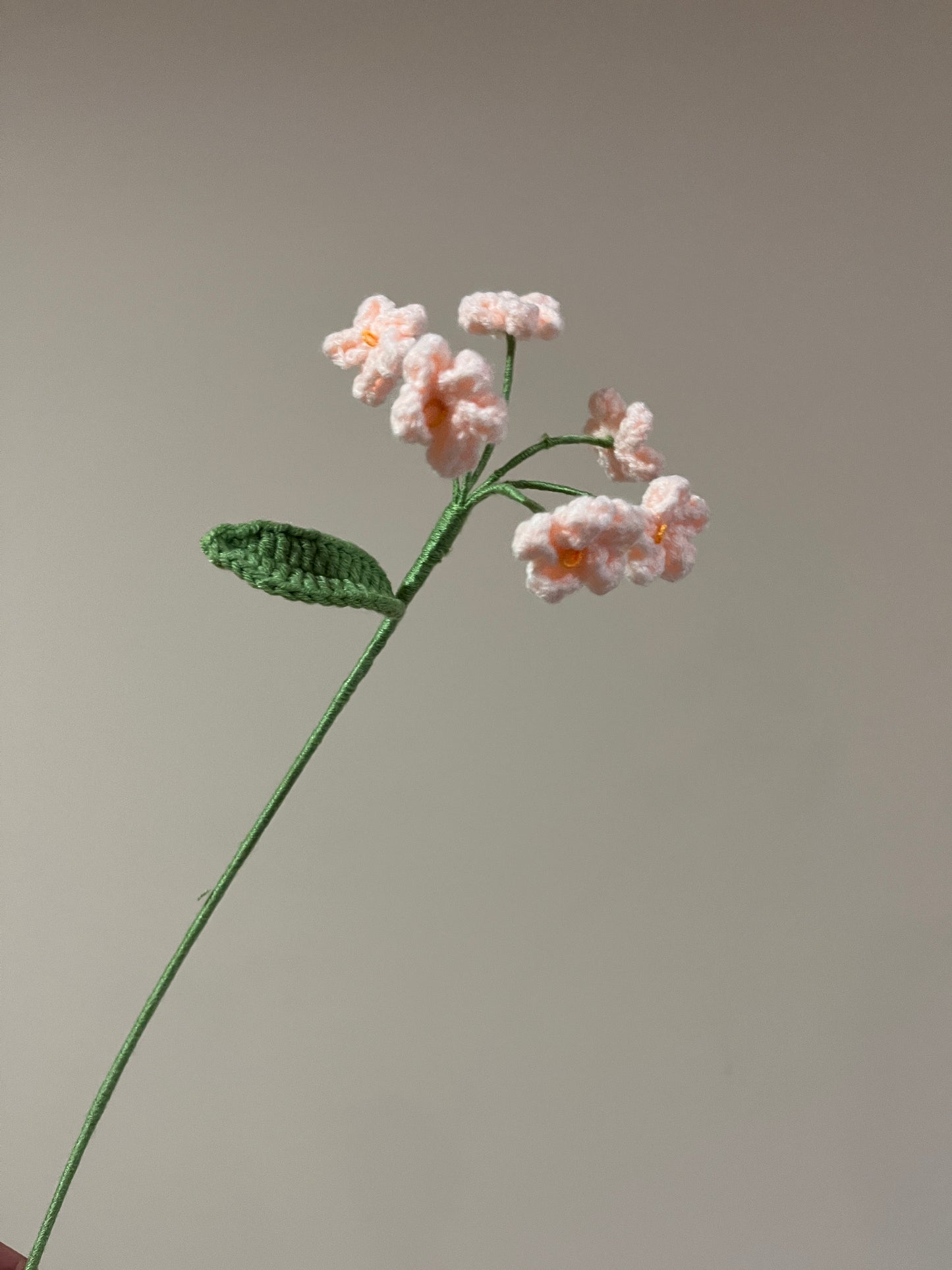 Forget Me Not - Type B