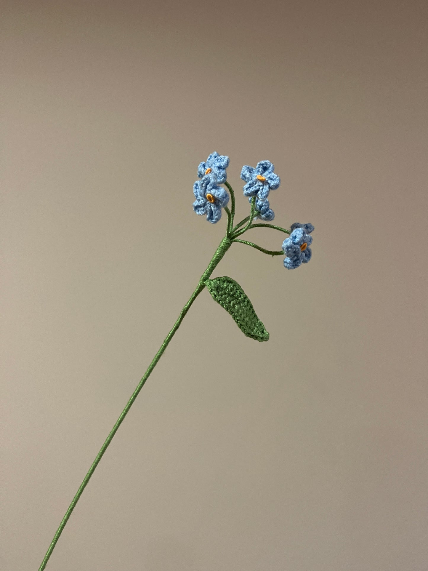 Forget Me Not - Type B