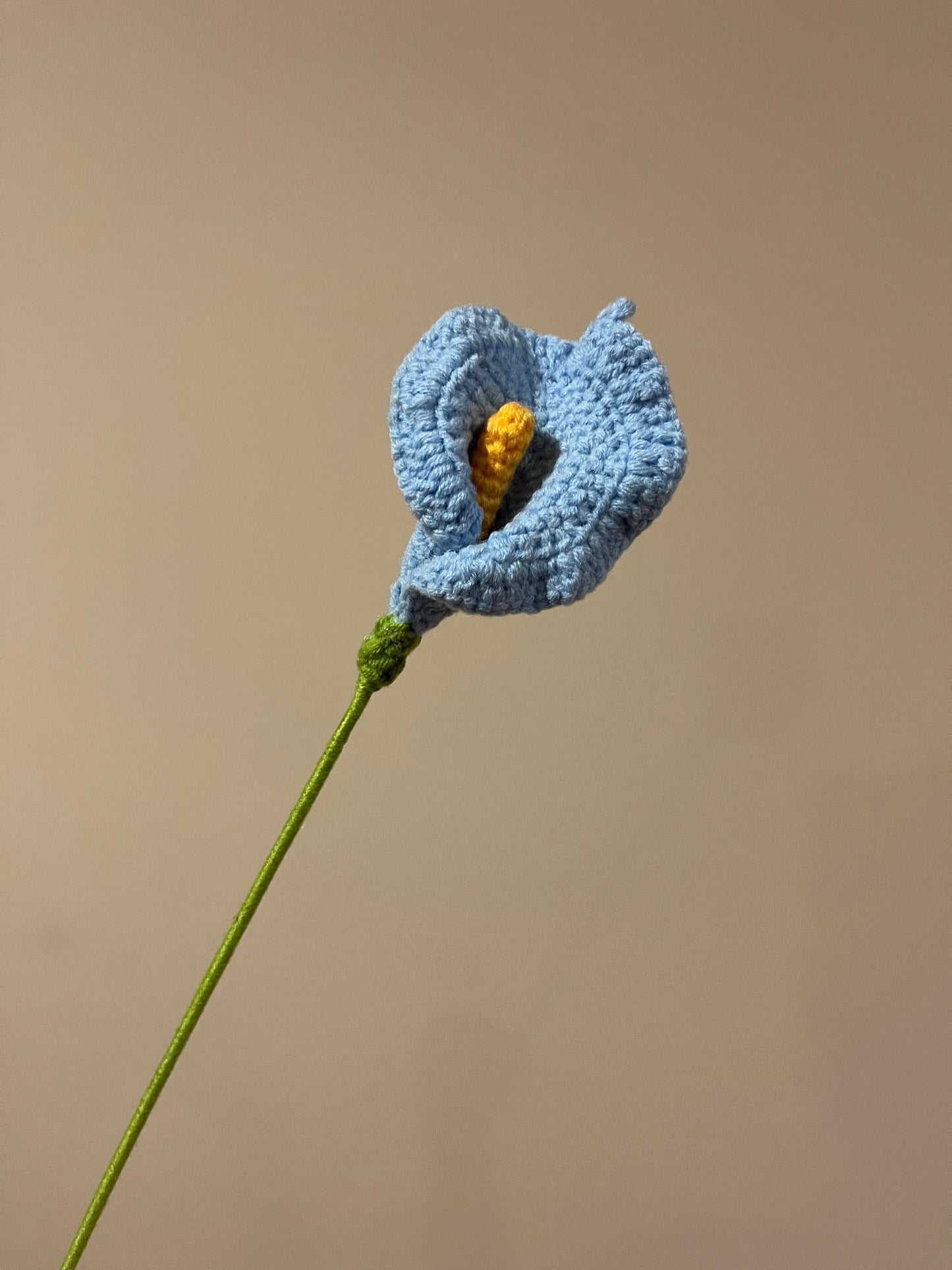 Calla Lily