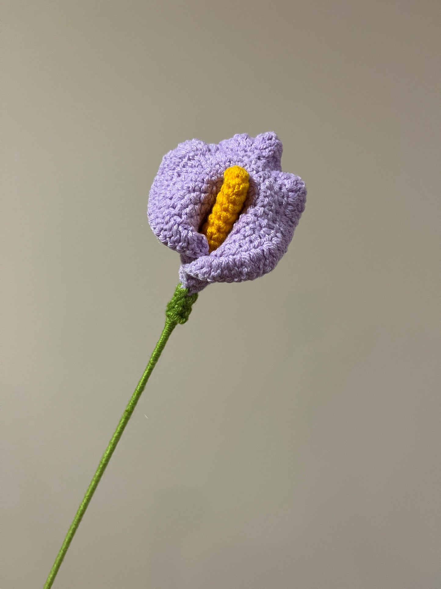 Calla Lily