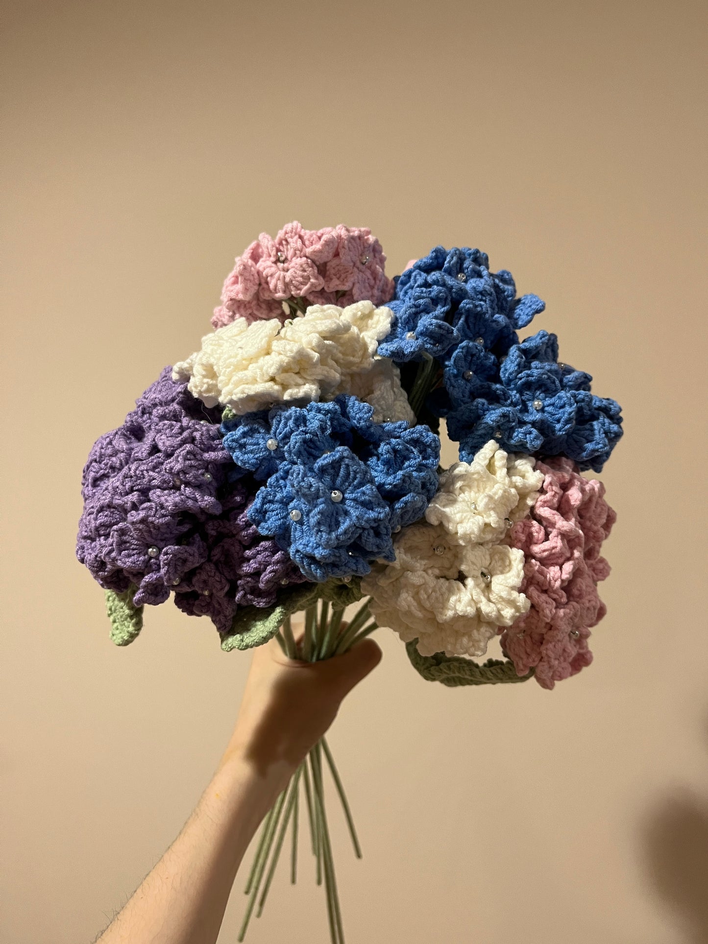 Hydrangea
