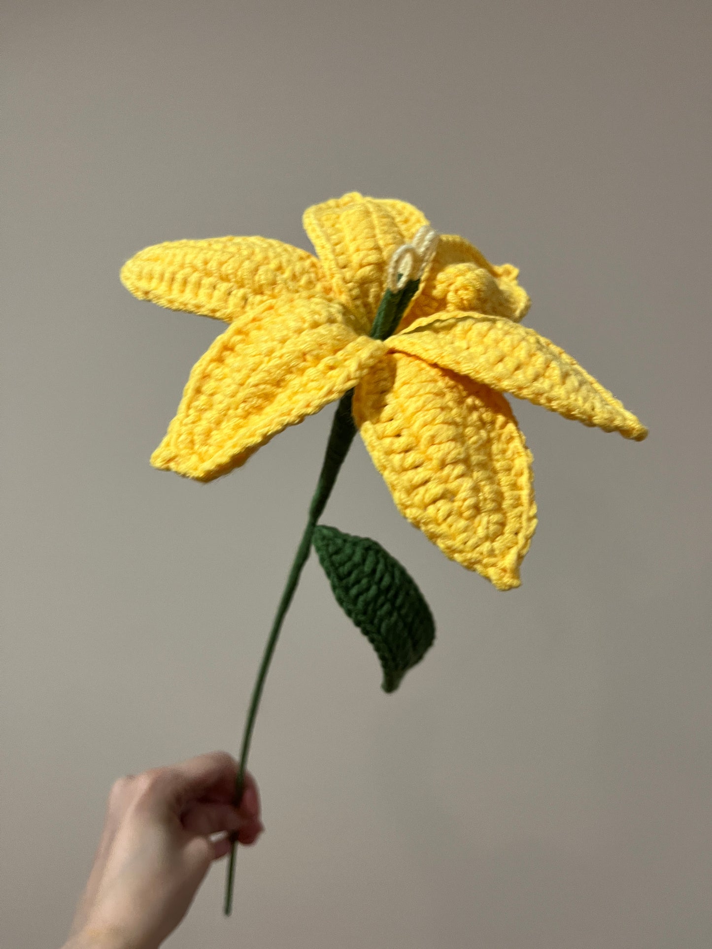 Lilly