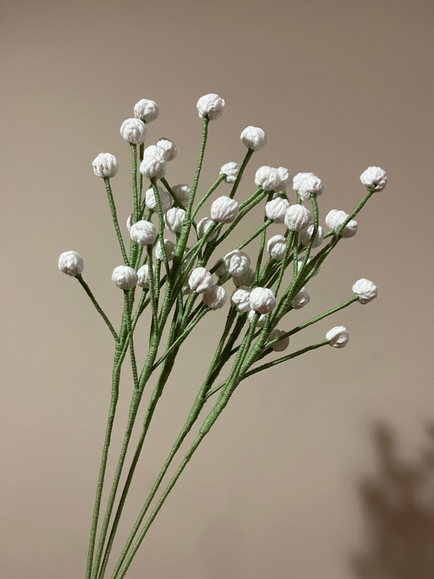 Snowberry