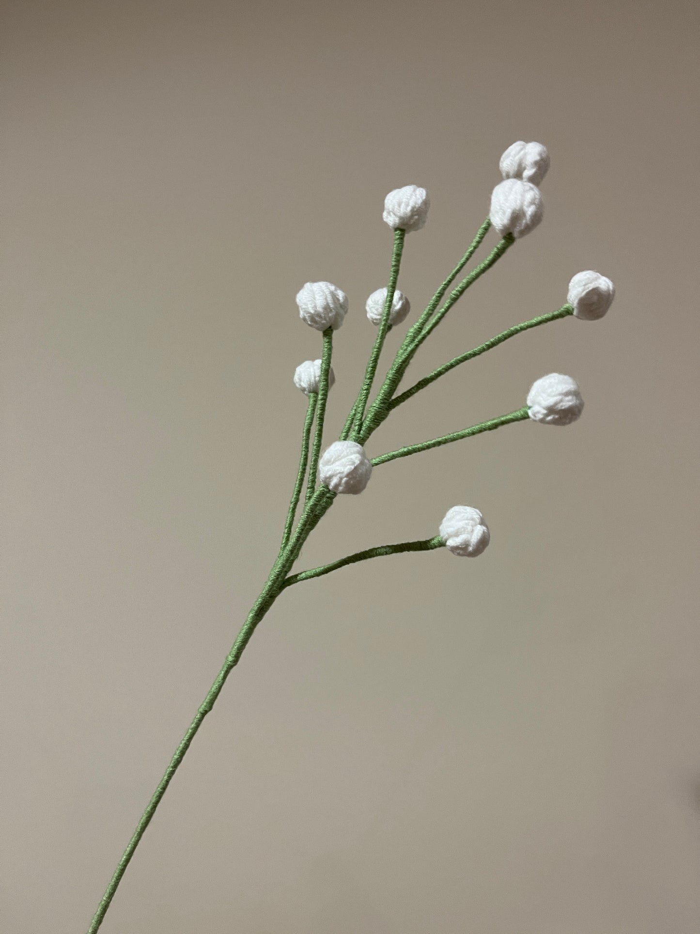 Snowberry