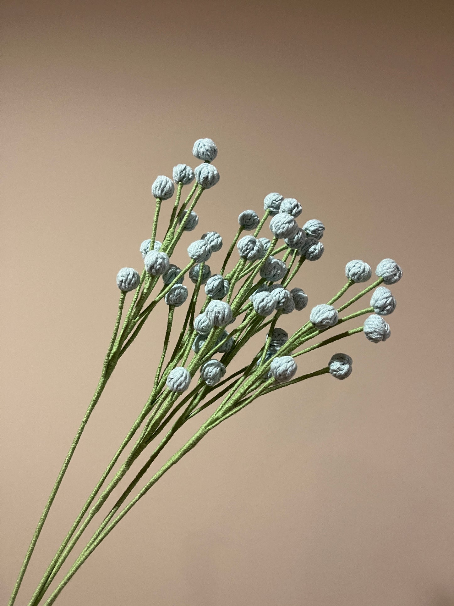 Snowberry