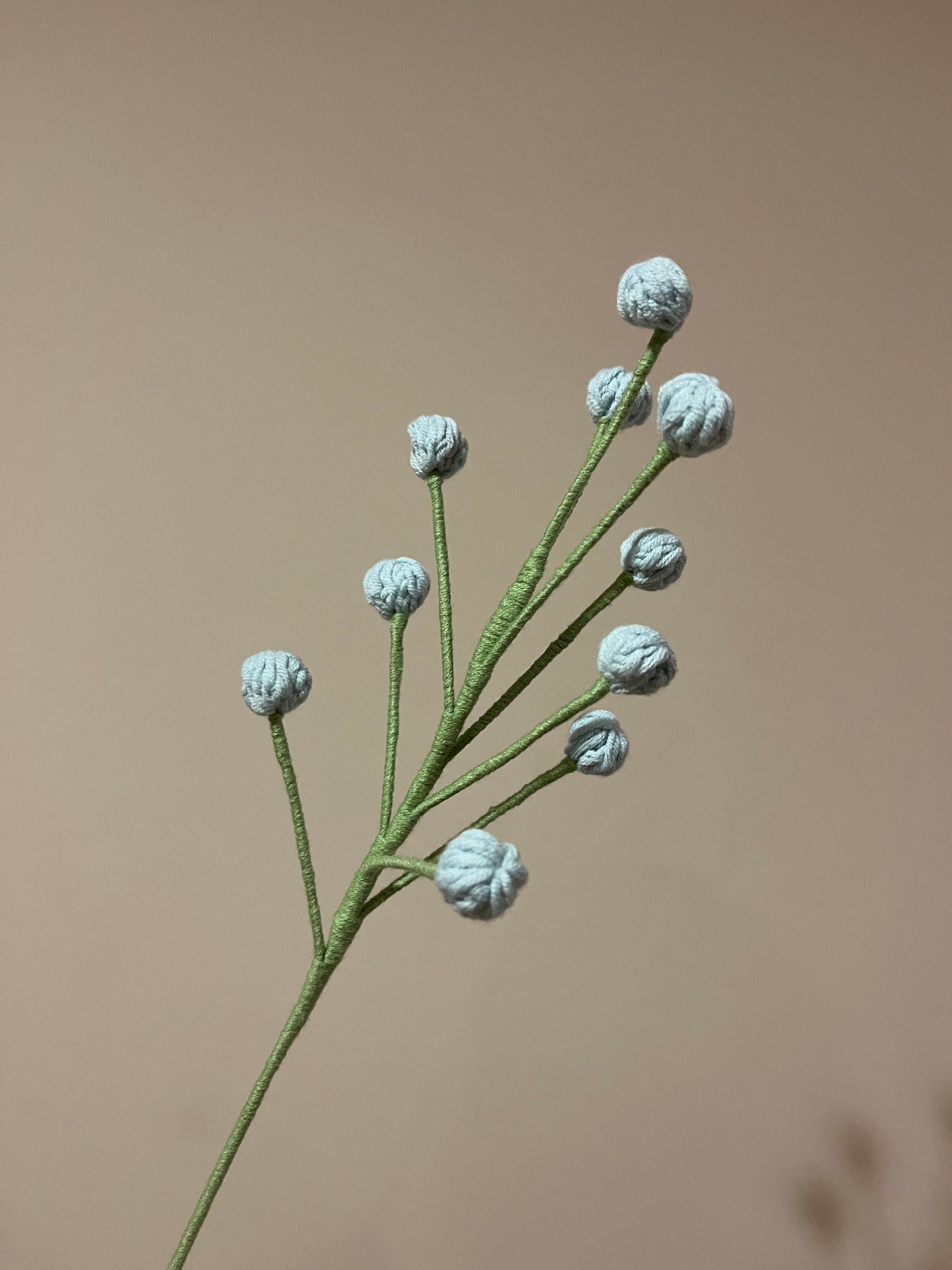 Snowberry