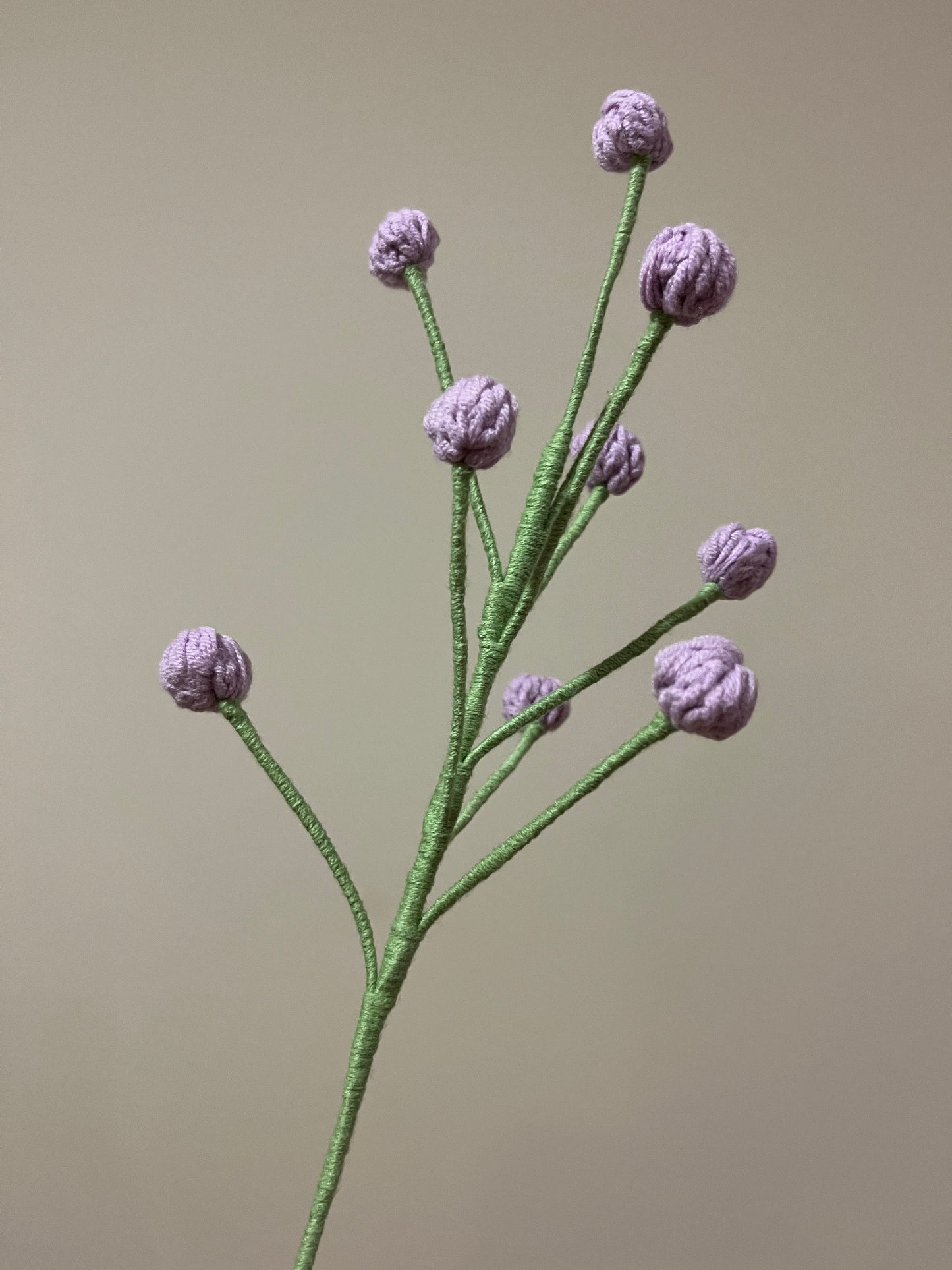 Snowberry
