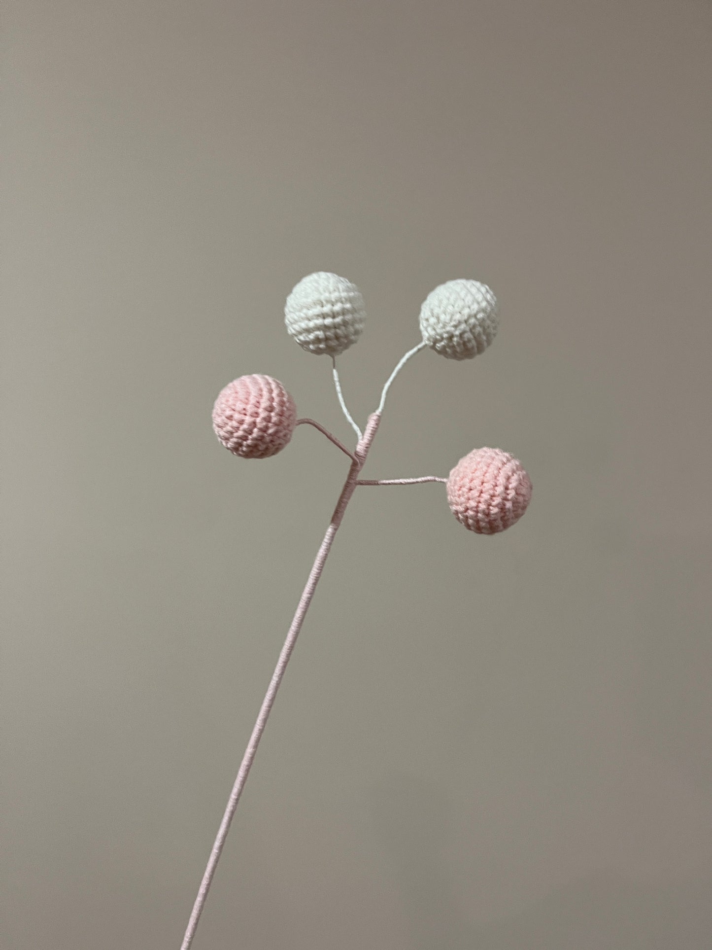 Berry