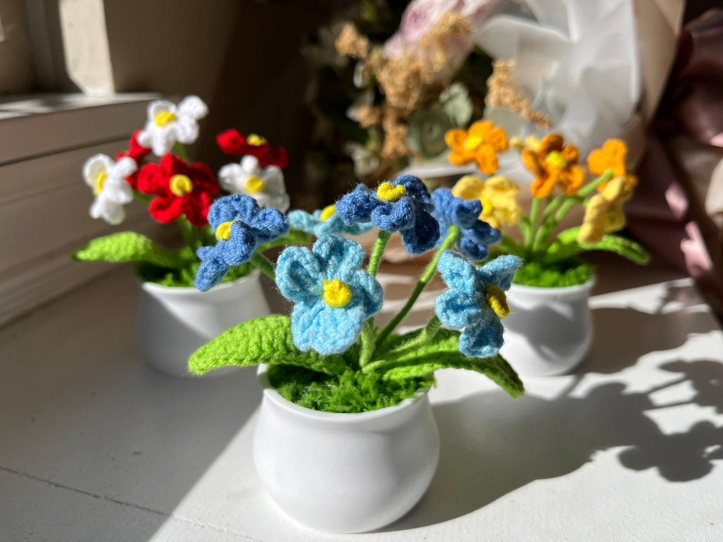 Forget-me-not Pot A