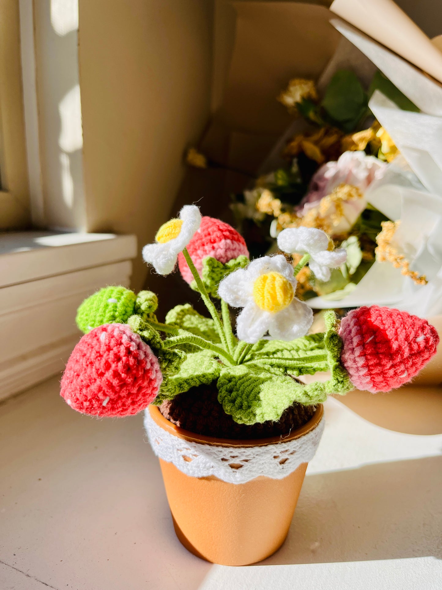 Strawberry Pot