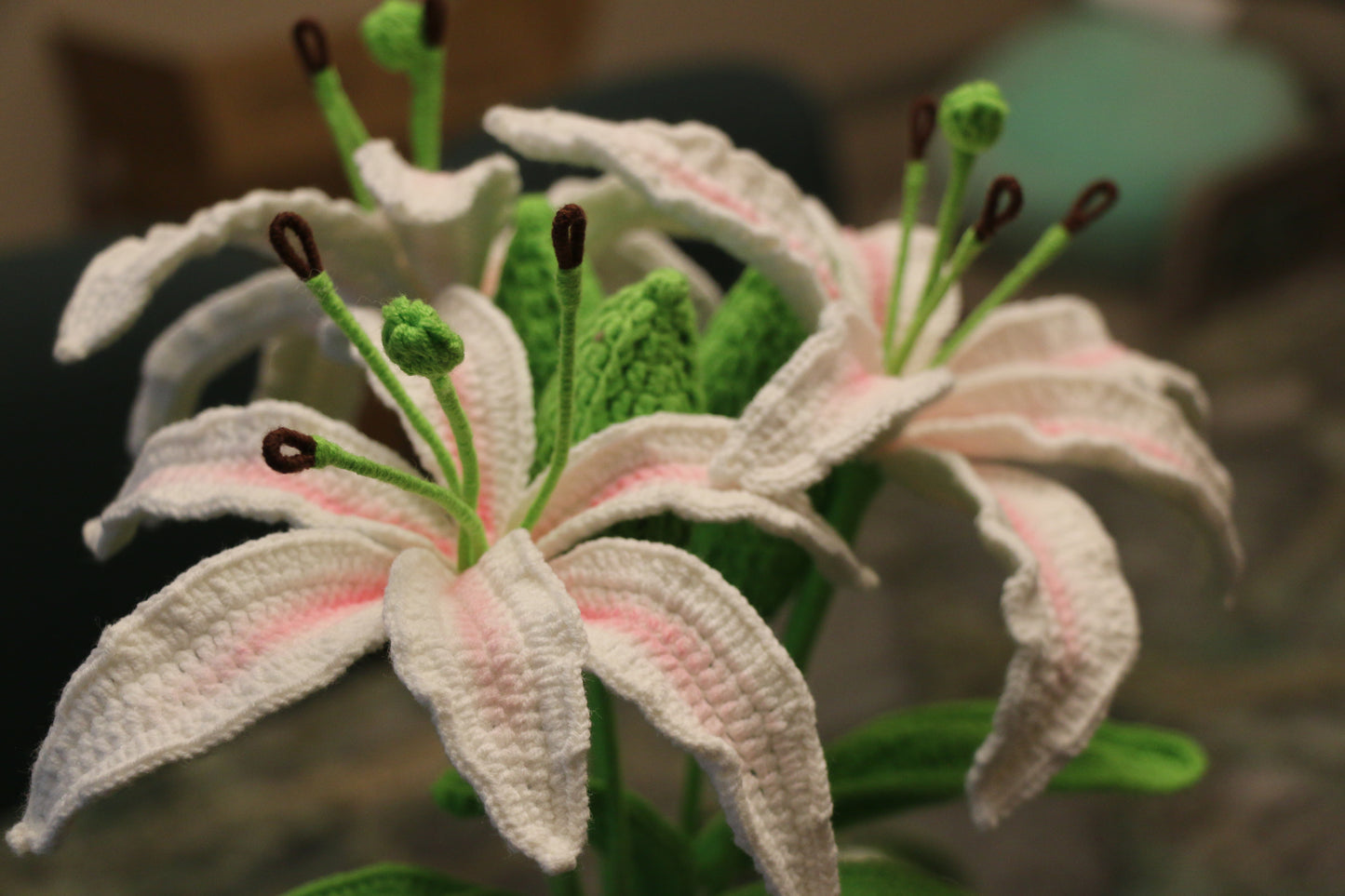 Oriental Lilly