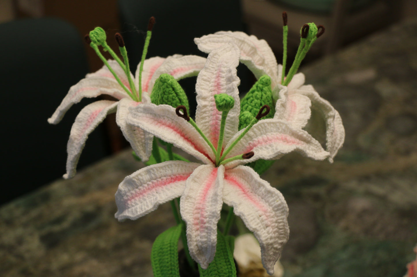 Oriental Lilly