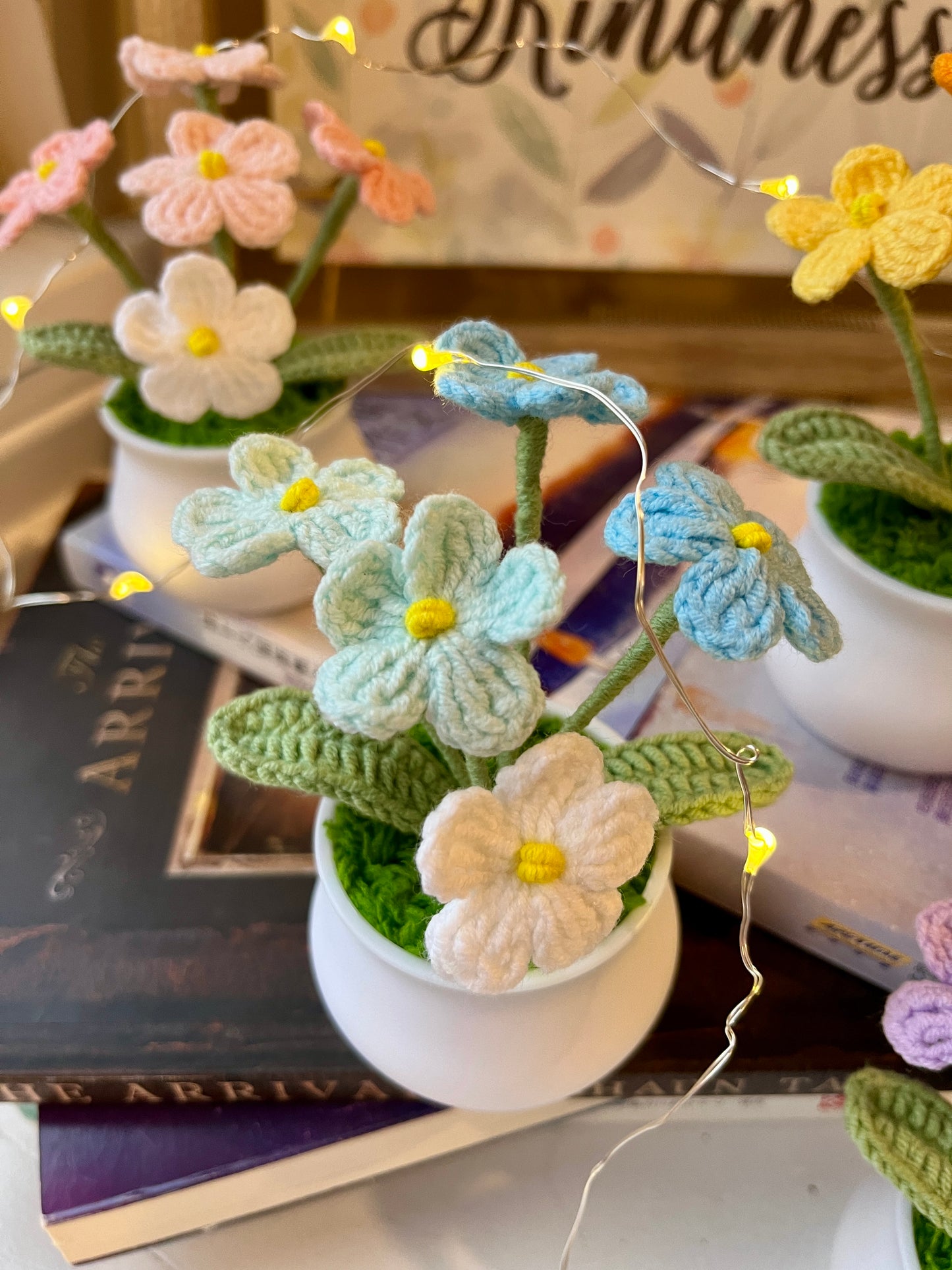 Forget-me-not Pot B