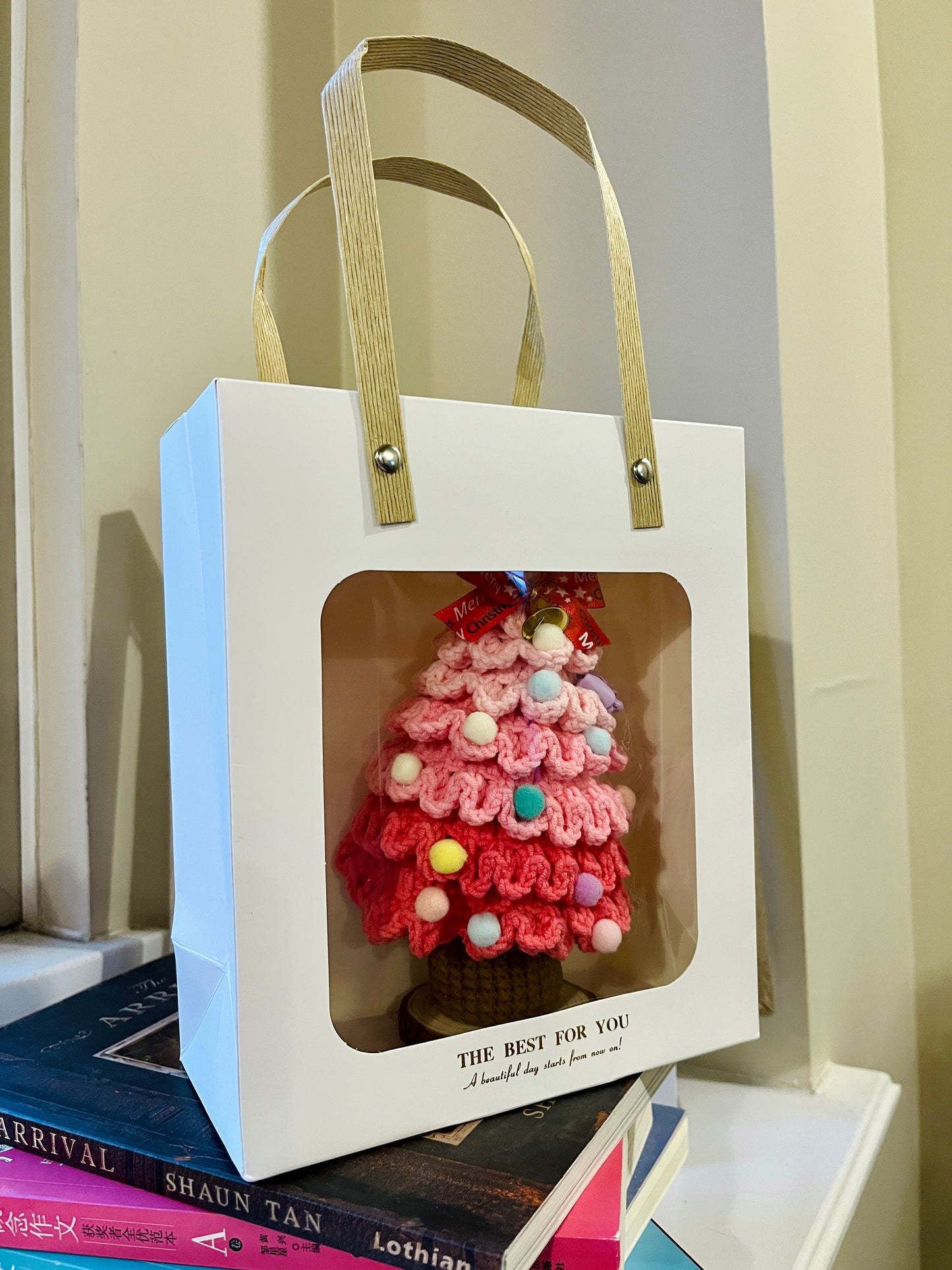 Large Paper Bag for flower pot