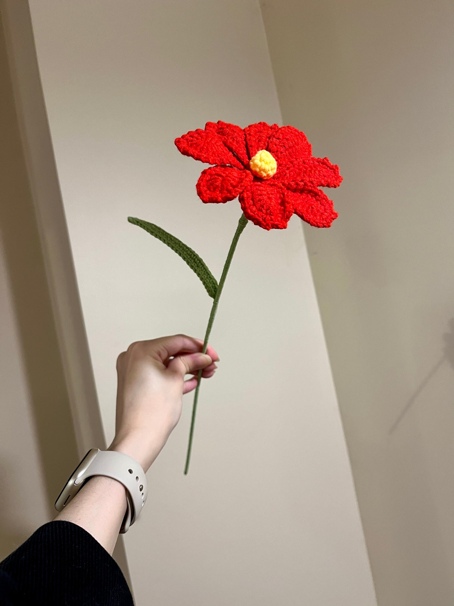 Cosmos