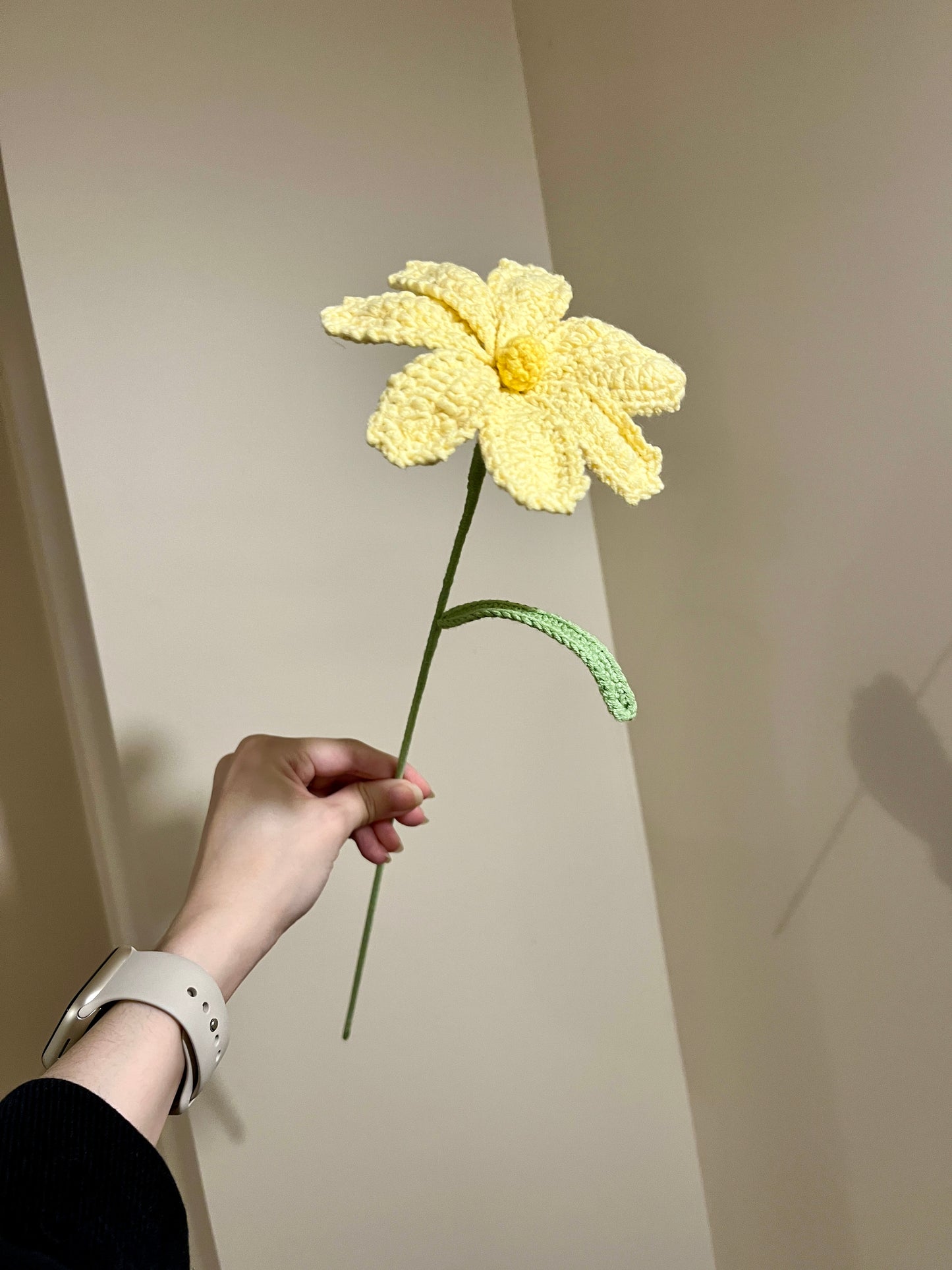 Cosmos
