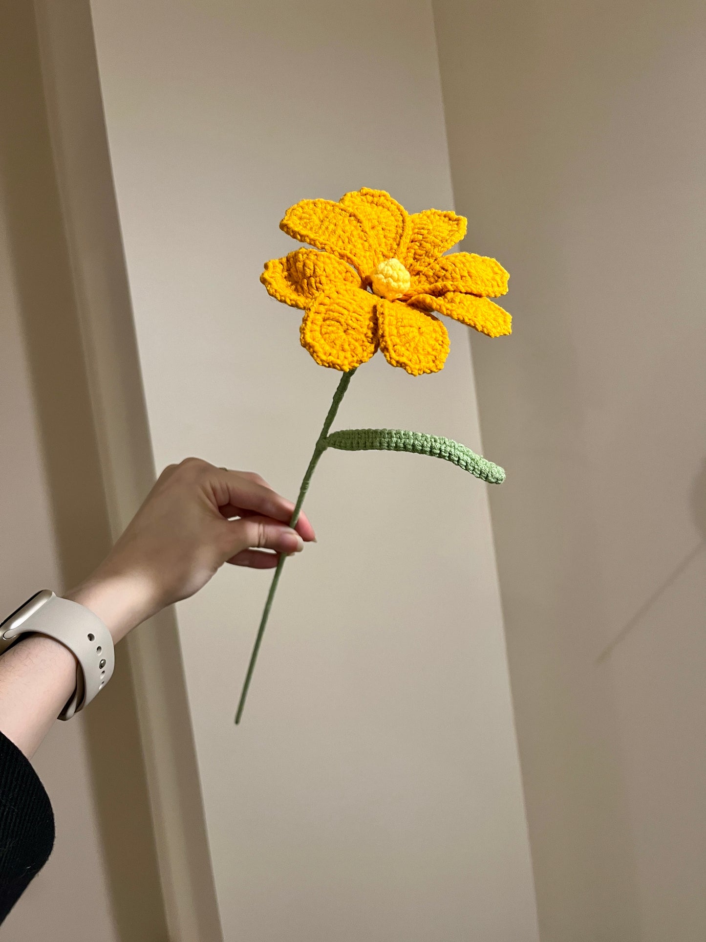 Cosmos