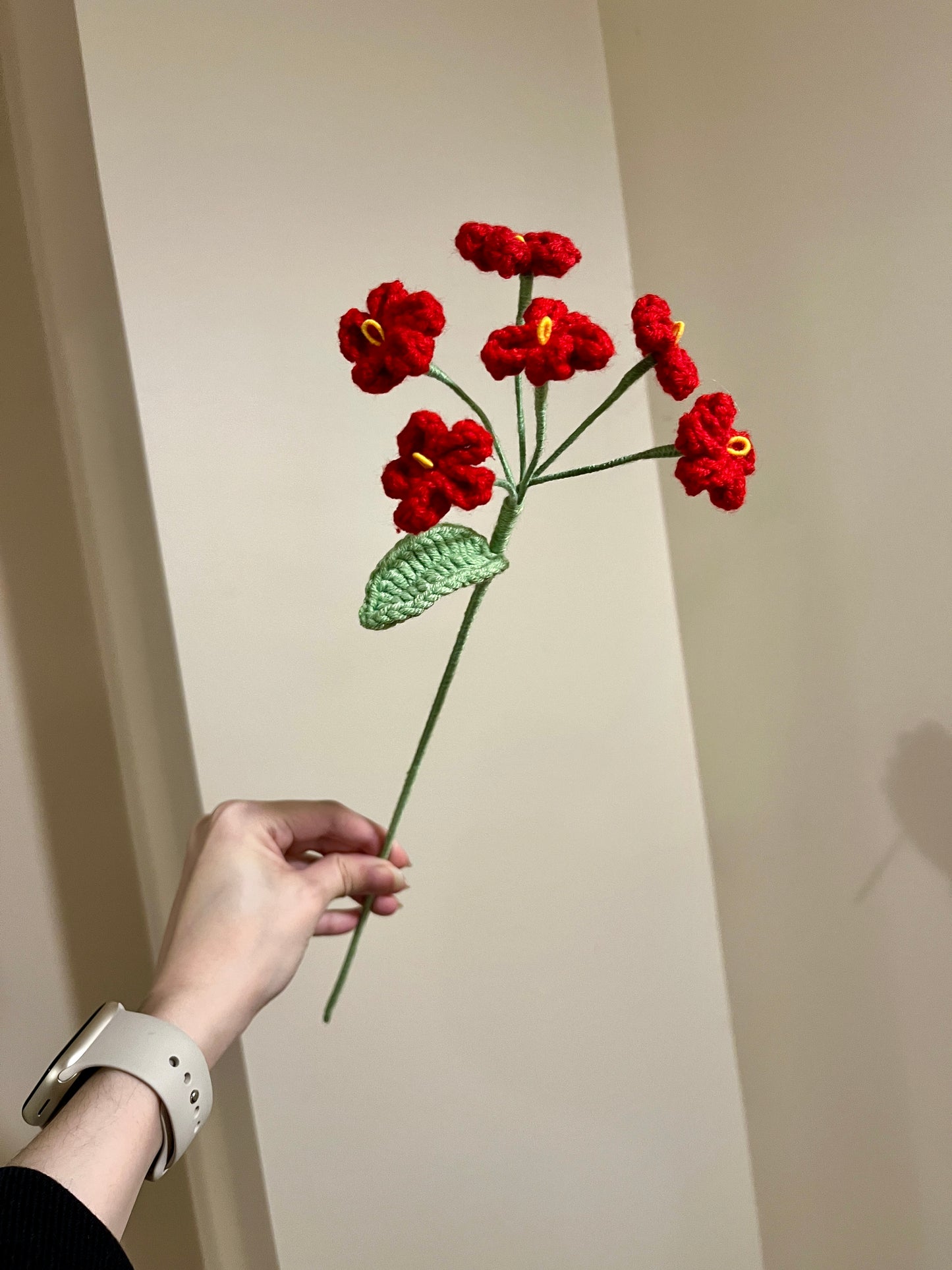 Forget Me Not - Type B