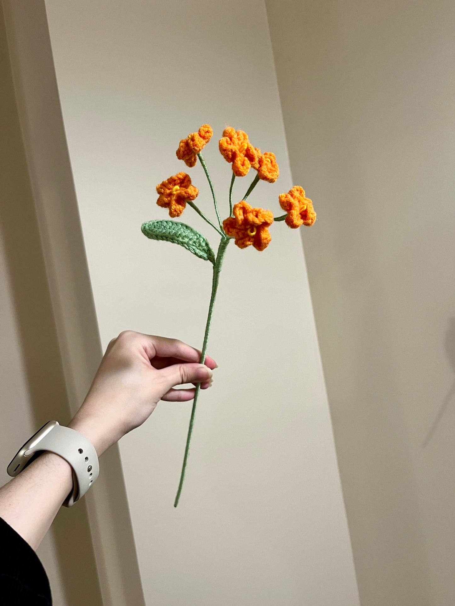 Forget Me Not - Type B