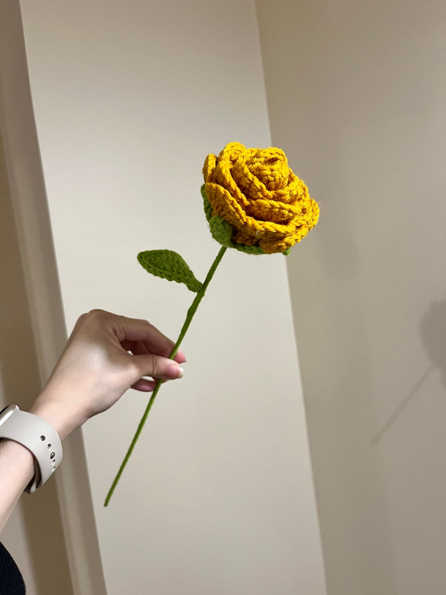 Rounded Roses