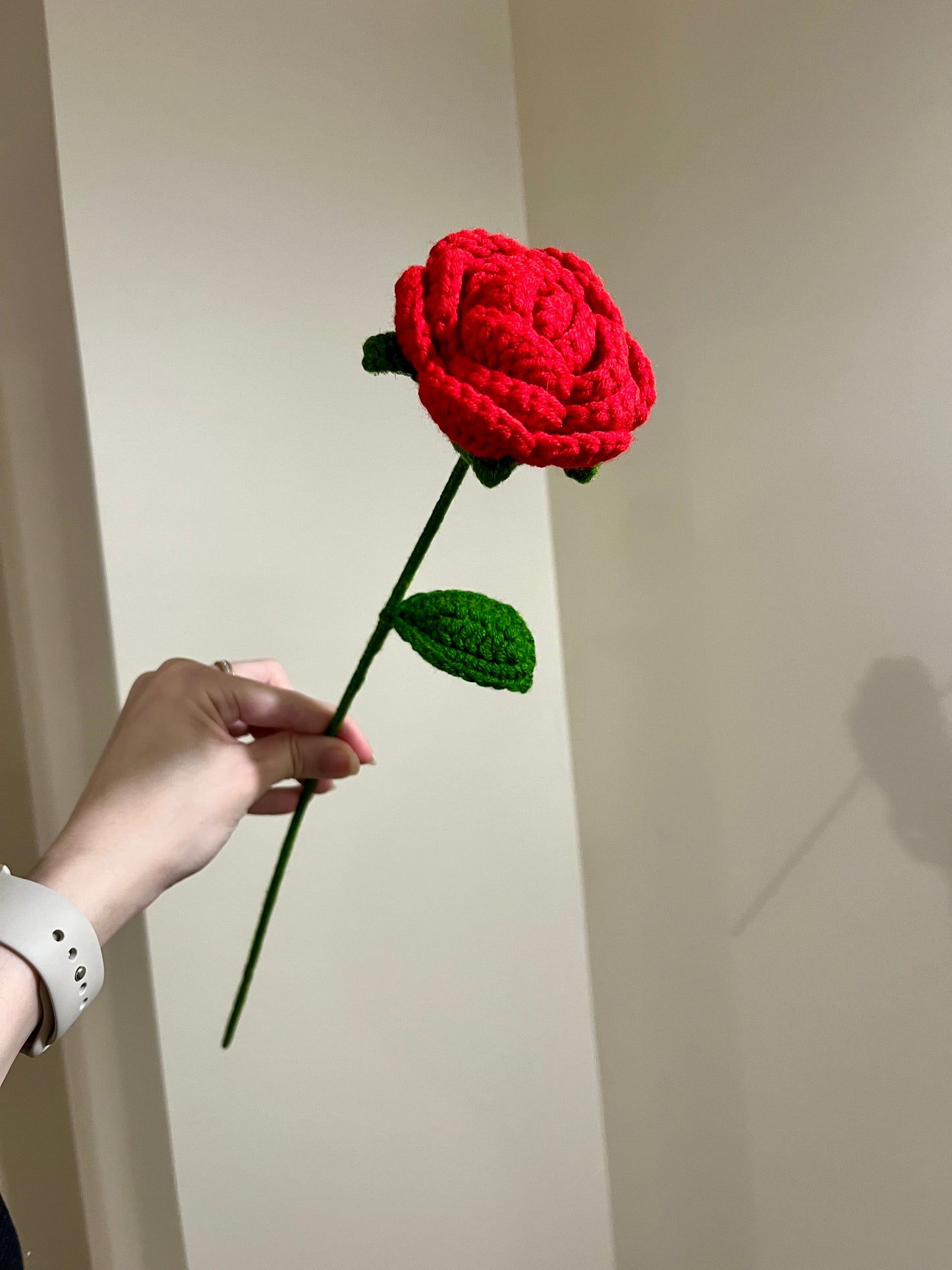 Rounded Roses