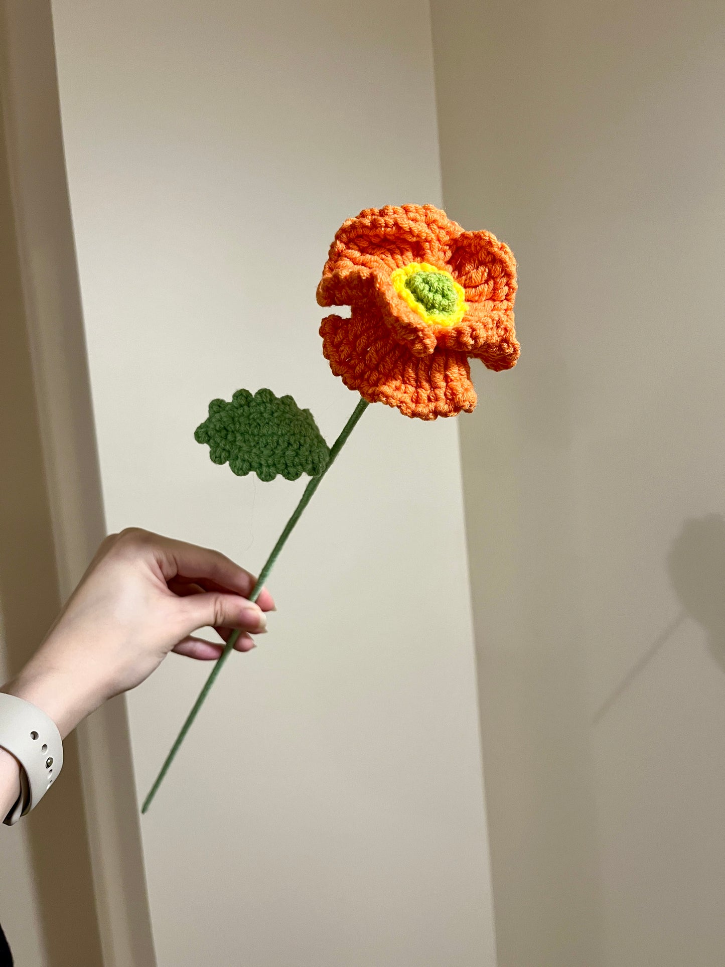 Poppy