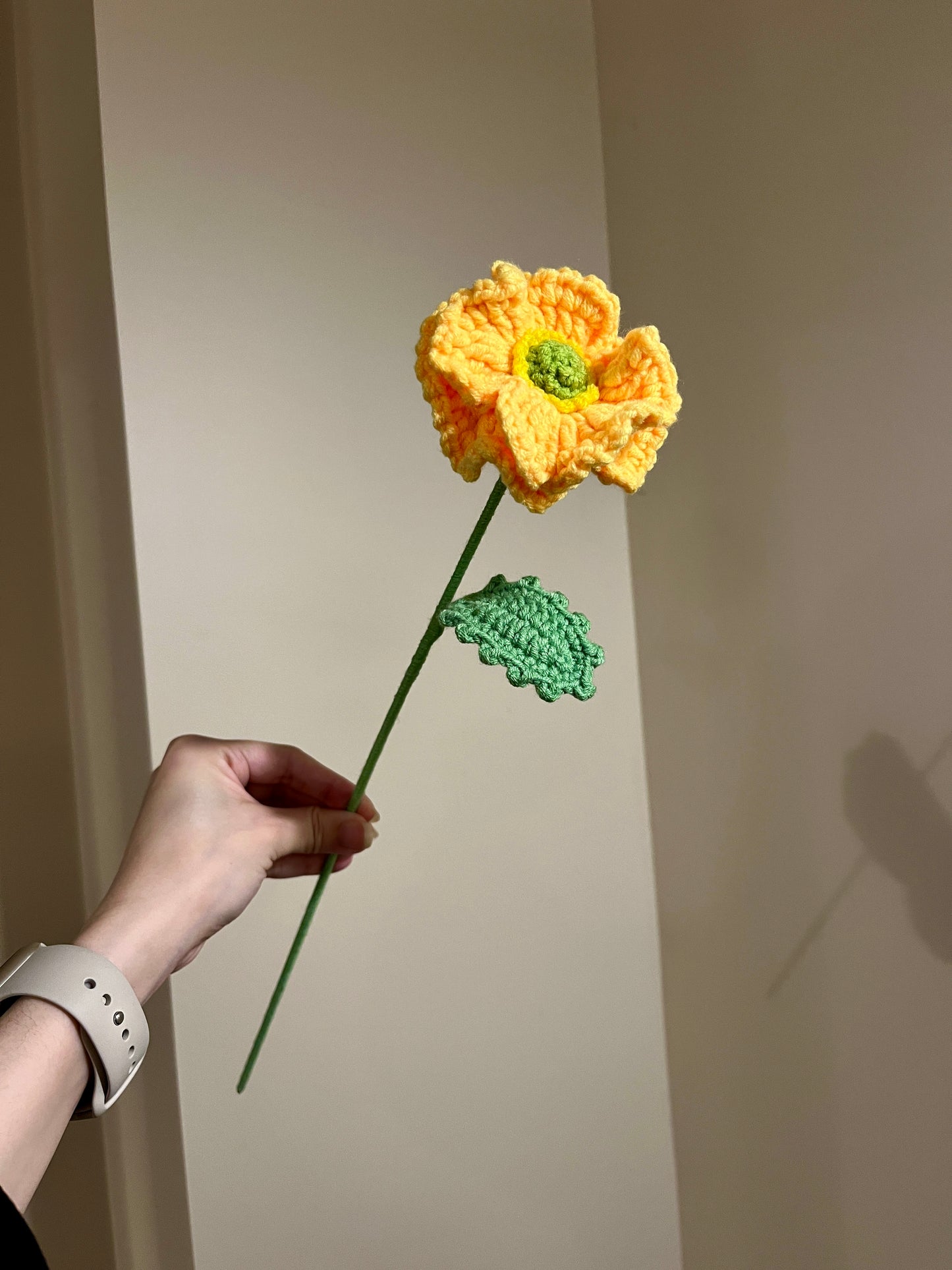 Poppy