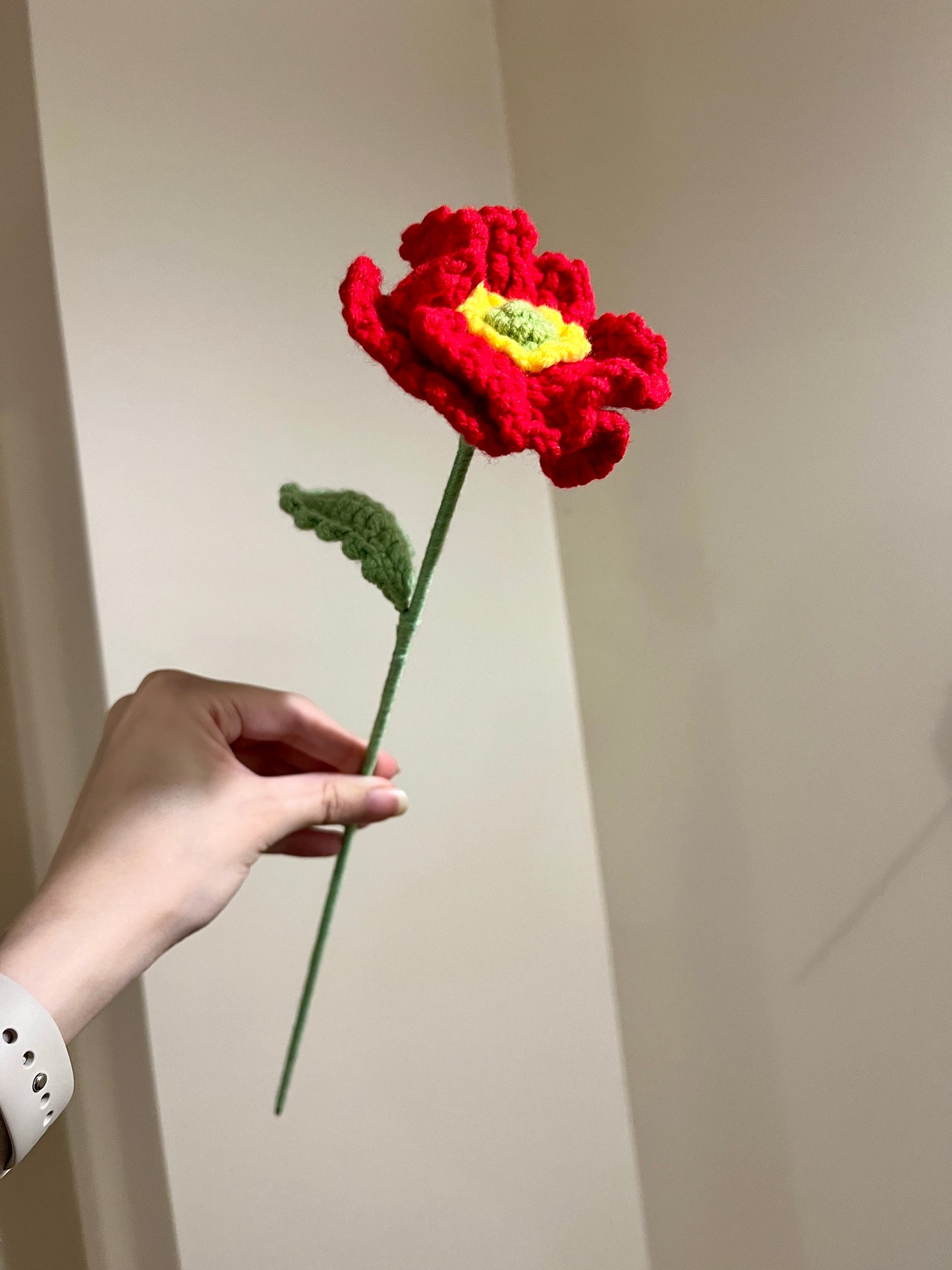 Poppy