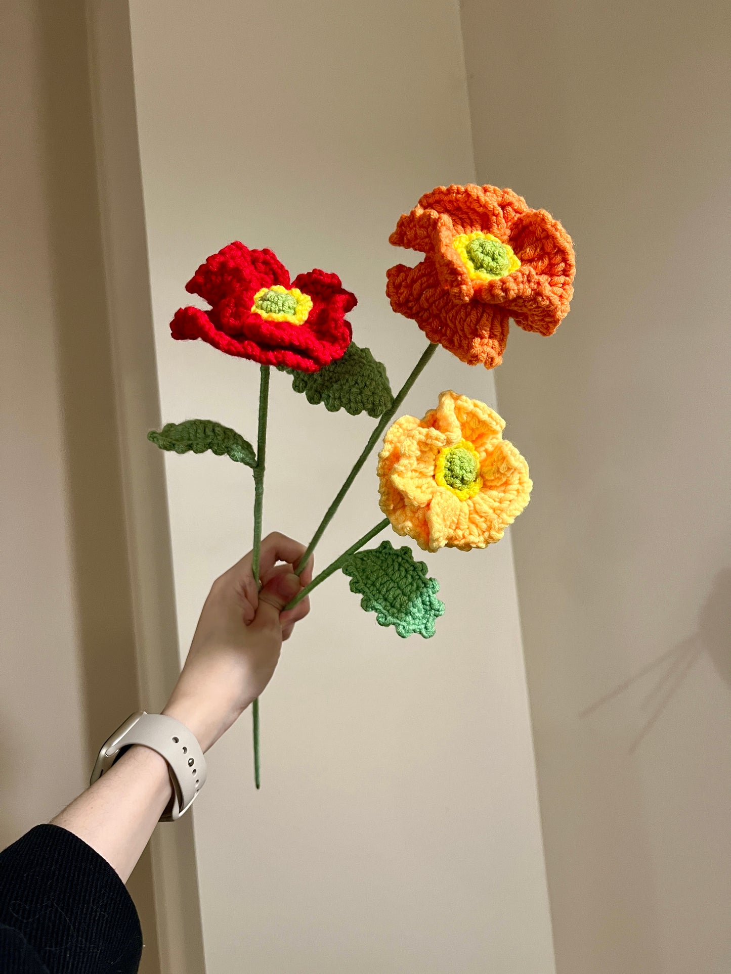 Poppy